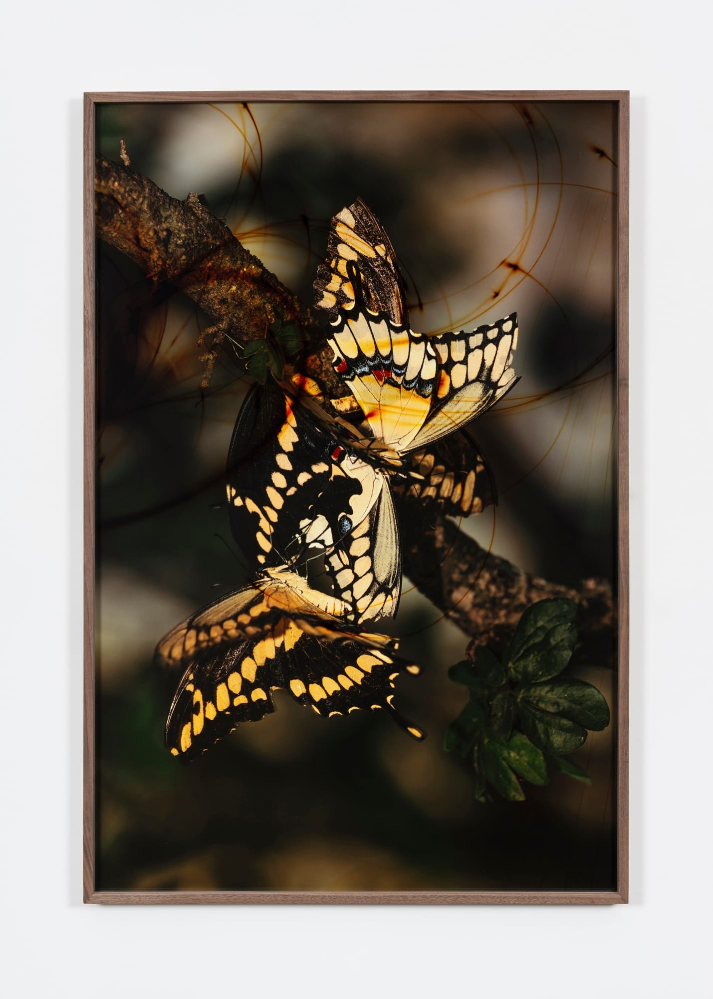 Christian Tunge, Renewal, 2024