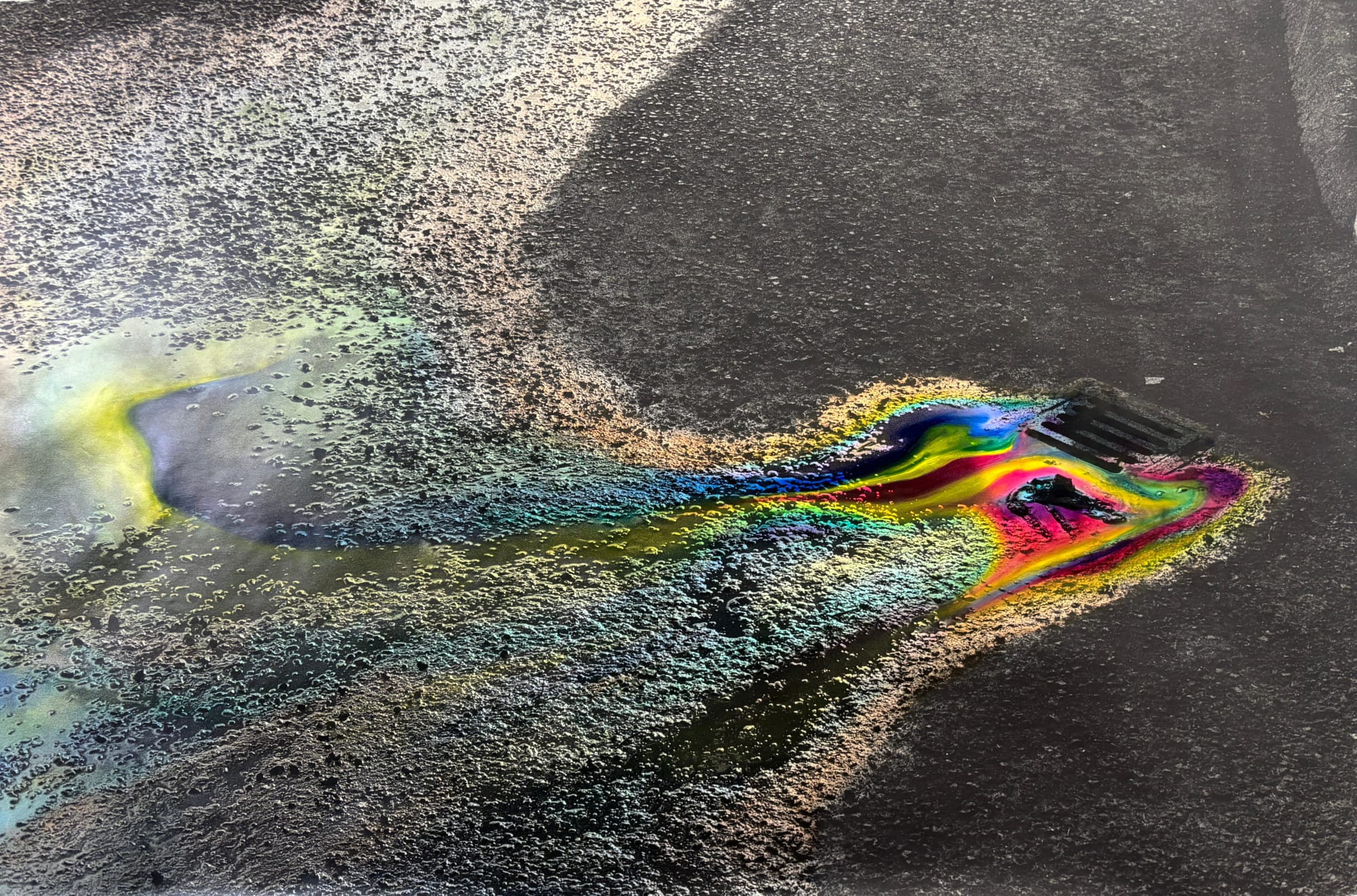 Lilja Birgisdóttir, Allt sem við sáum fyrir fullkomna tilviljun, 2025