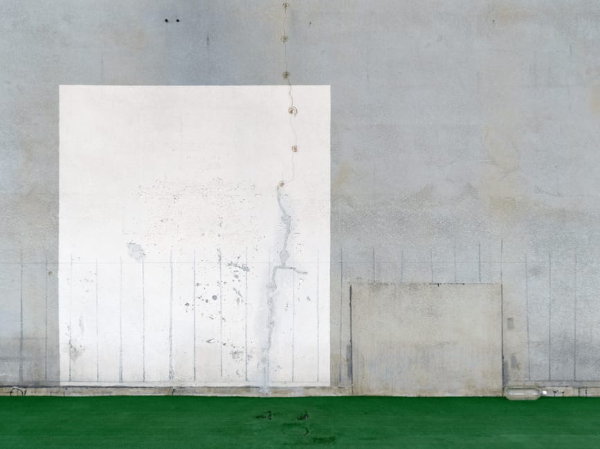 Bert Danckaert, True Nature #154 (Tokyo), 2019