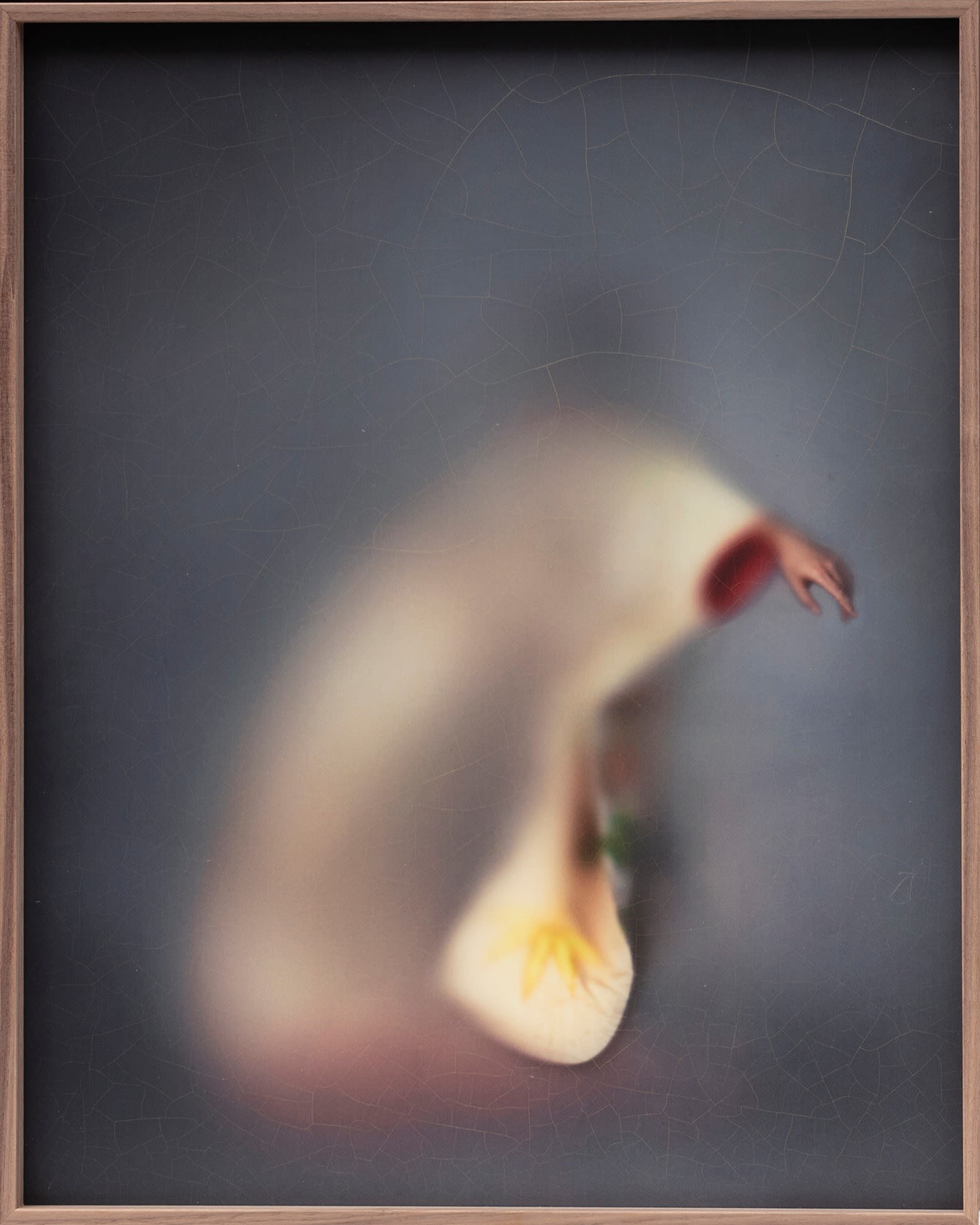 Casper Faassen, Mado 2, 2020