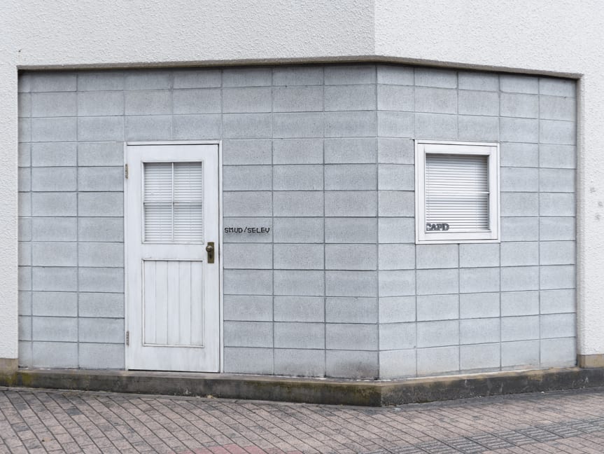 Bert Danckaert, True Nature #118 (Hiroshima), 2019