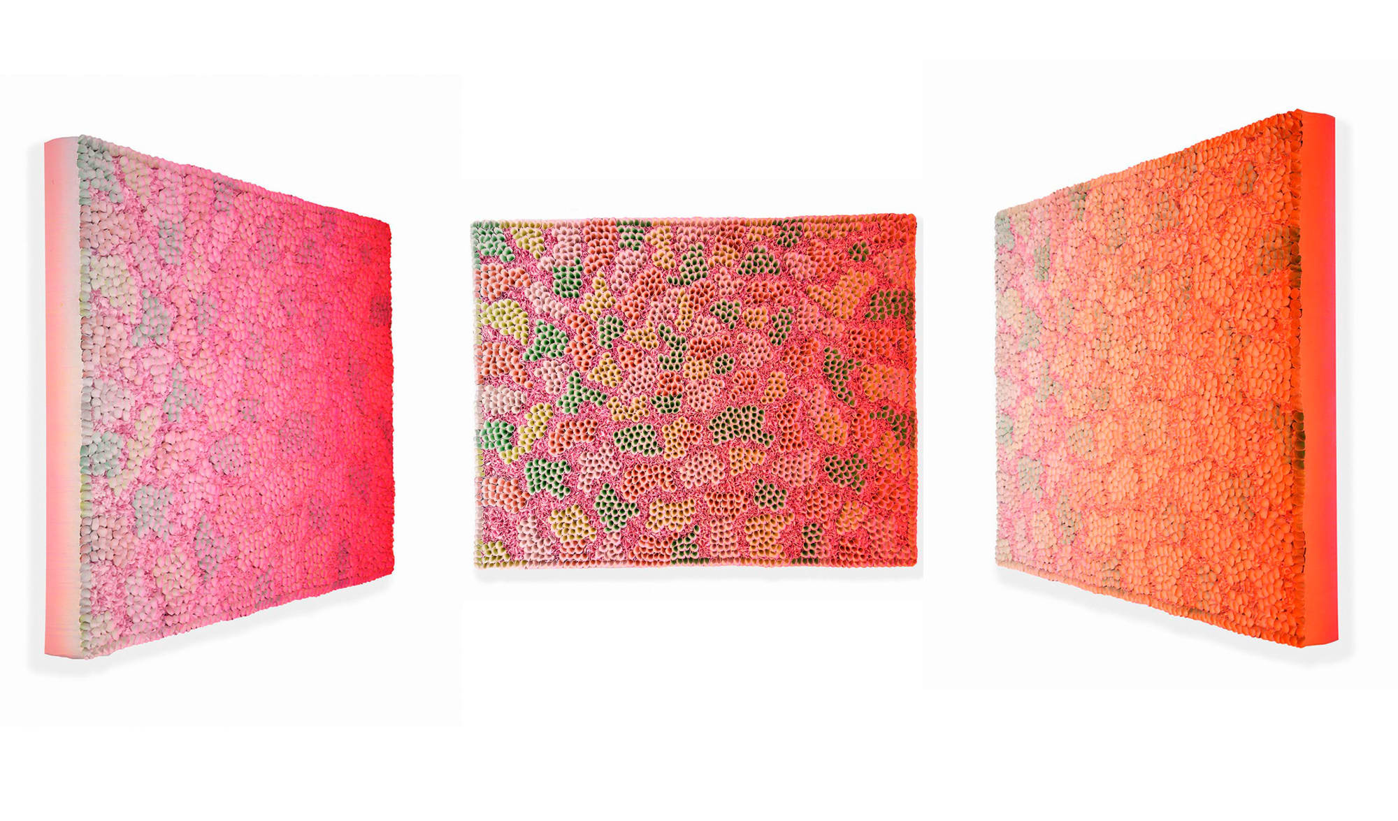 Zhuang Hong-yi, Pink Lush, 2020