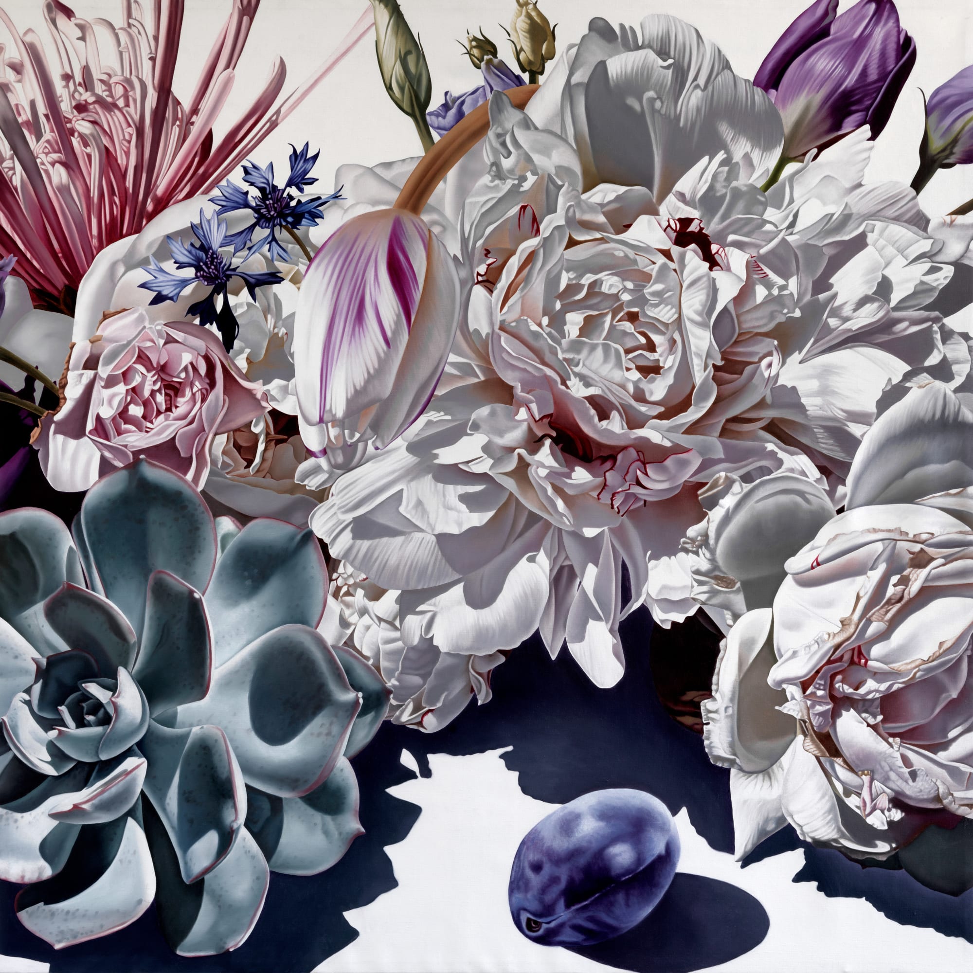 Casagrande, Ipervanitas 1719