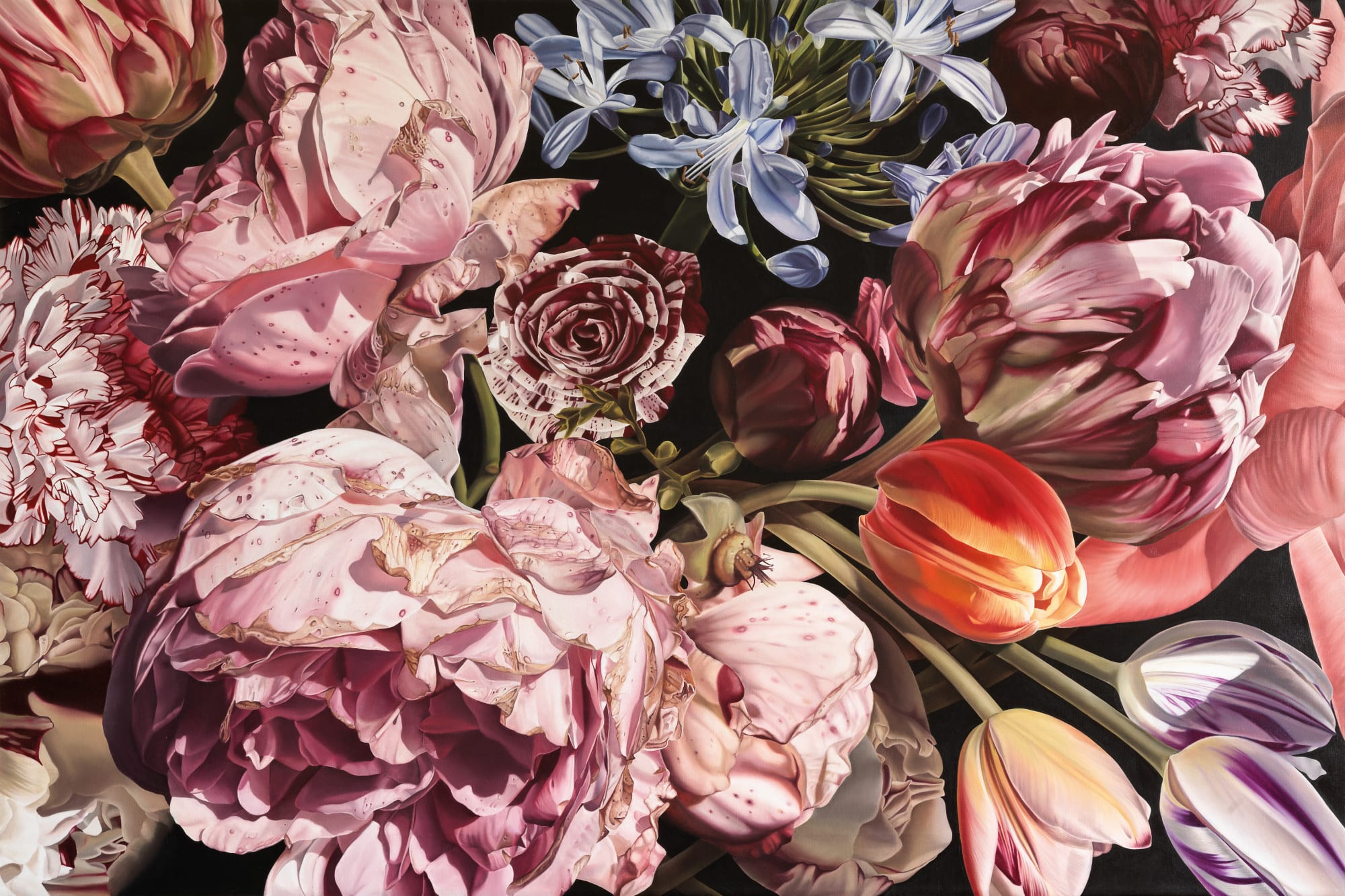 Casagrande, Ipervanitas 1710