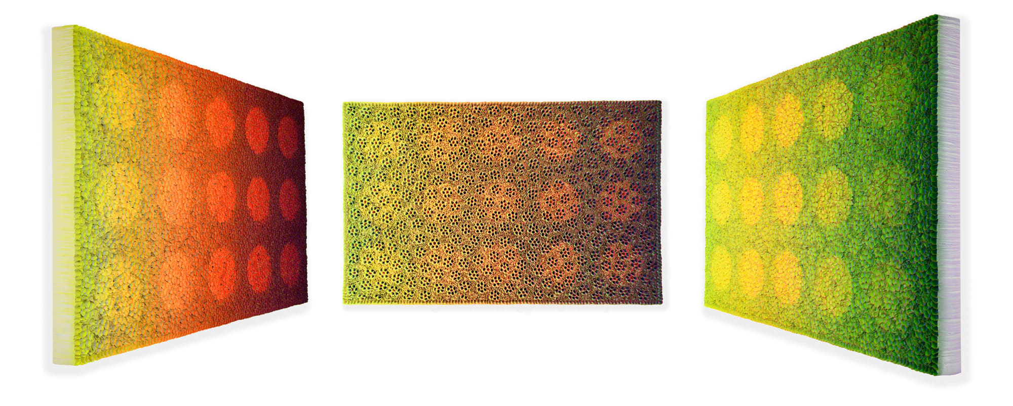 Zhuang Hong-yi, Multiple Dimensions