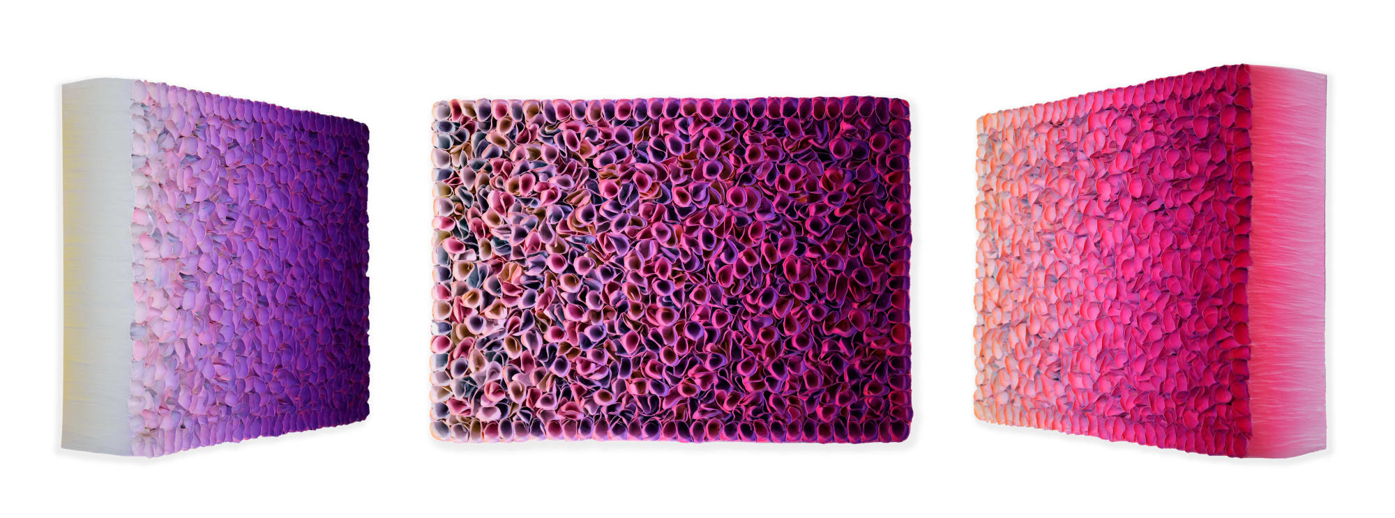 Zhuang Hong-yi, Apres, 2024