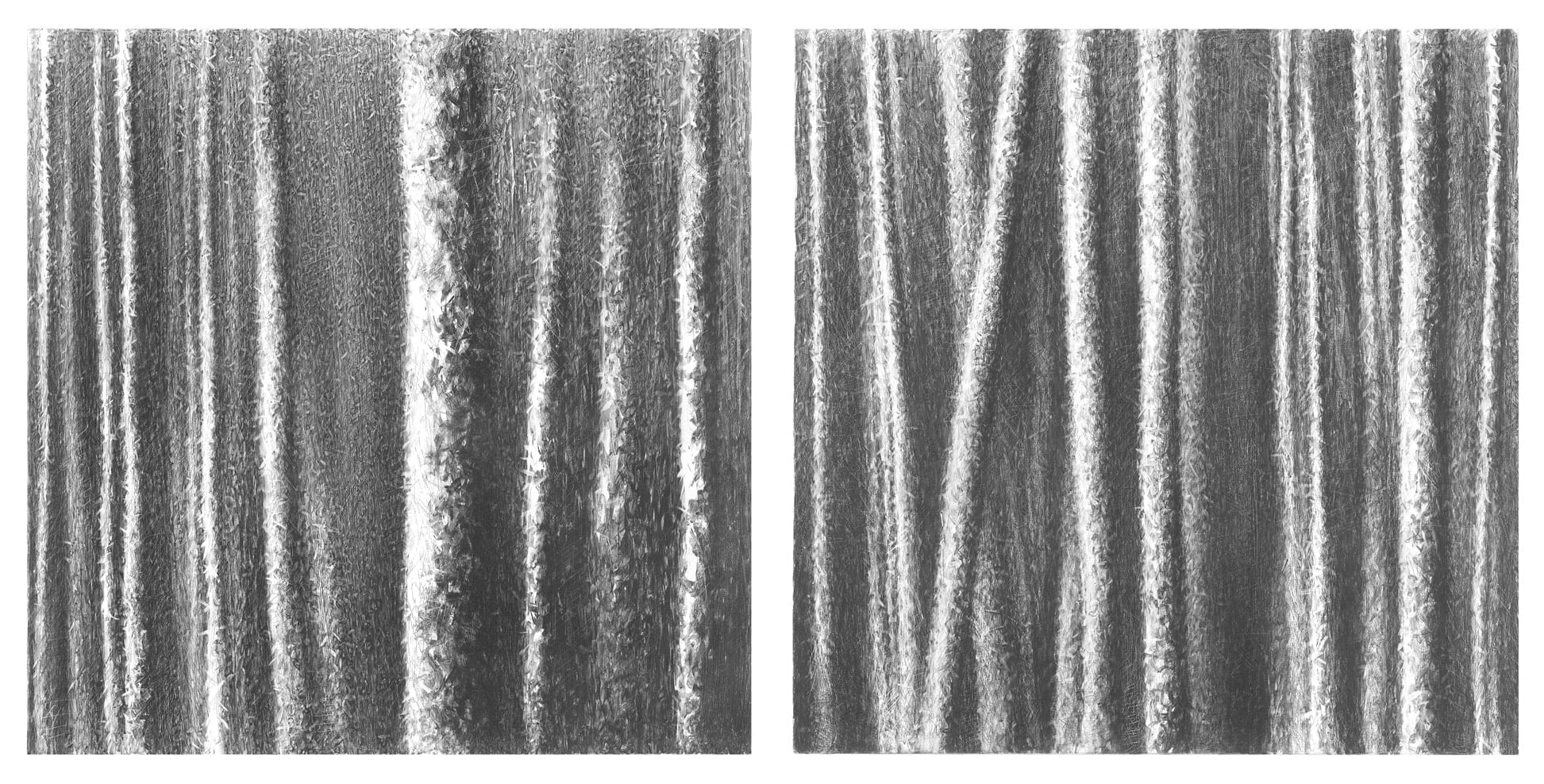 Danja Akulin, Untitled, 2010