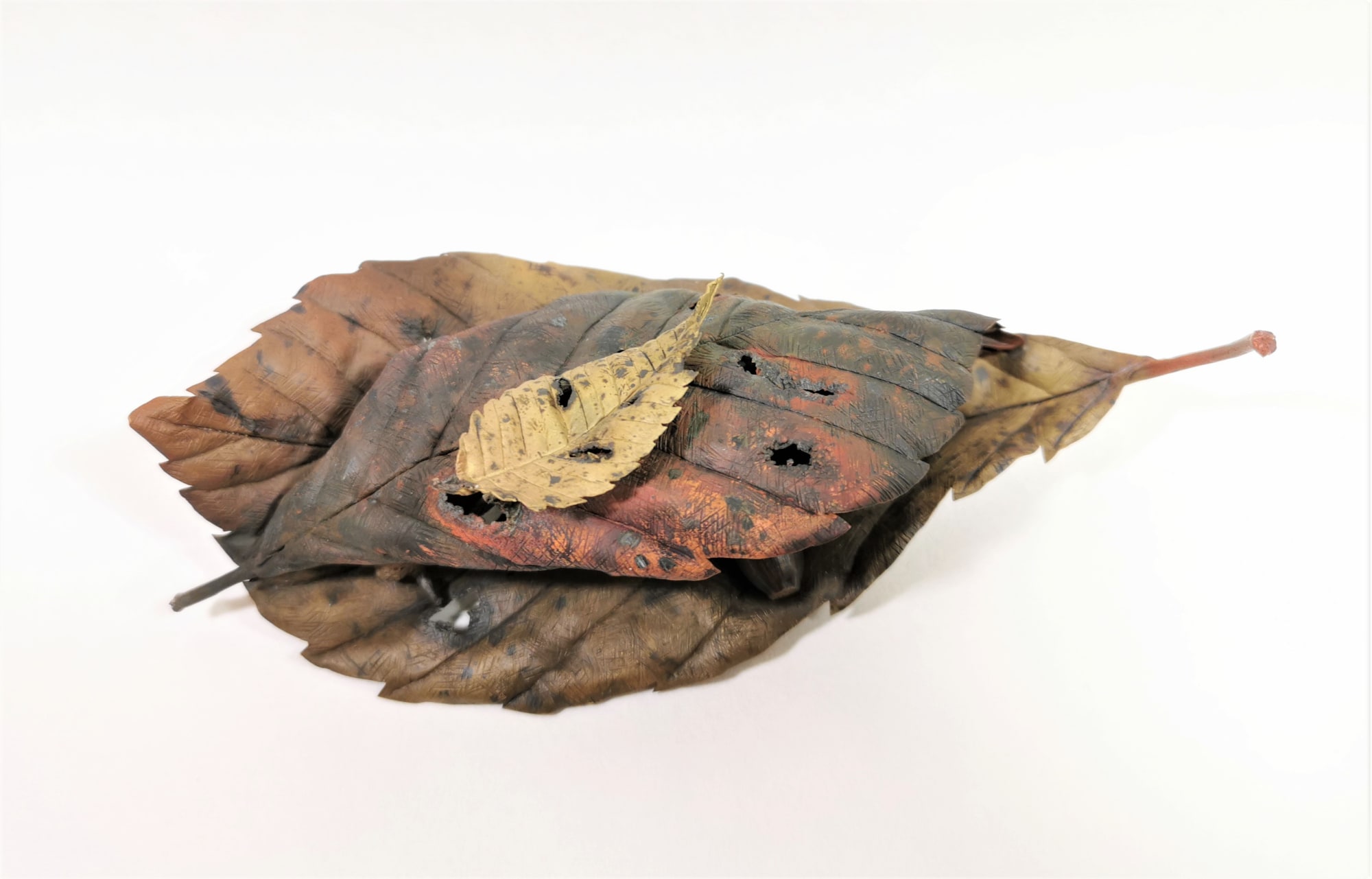 Shota Suzuki, Small Autumn, 2020