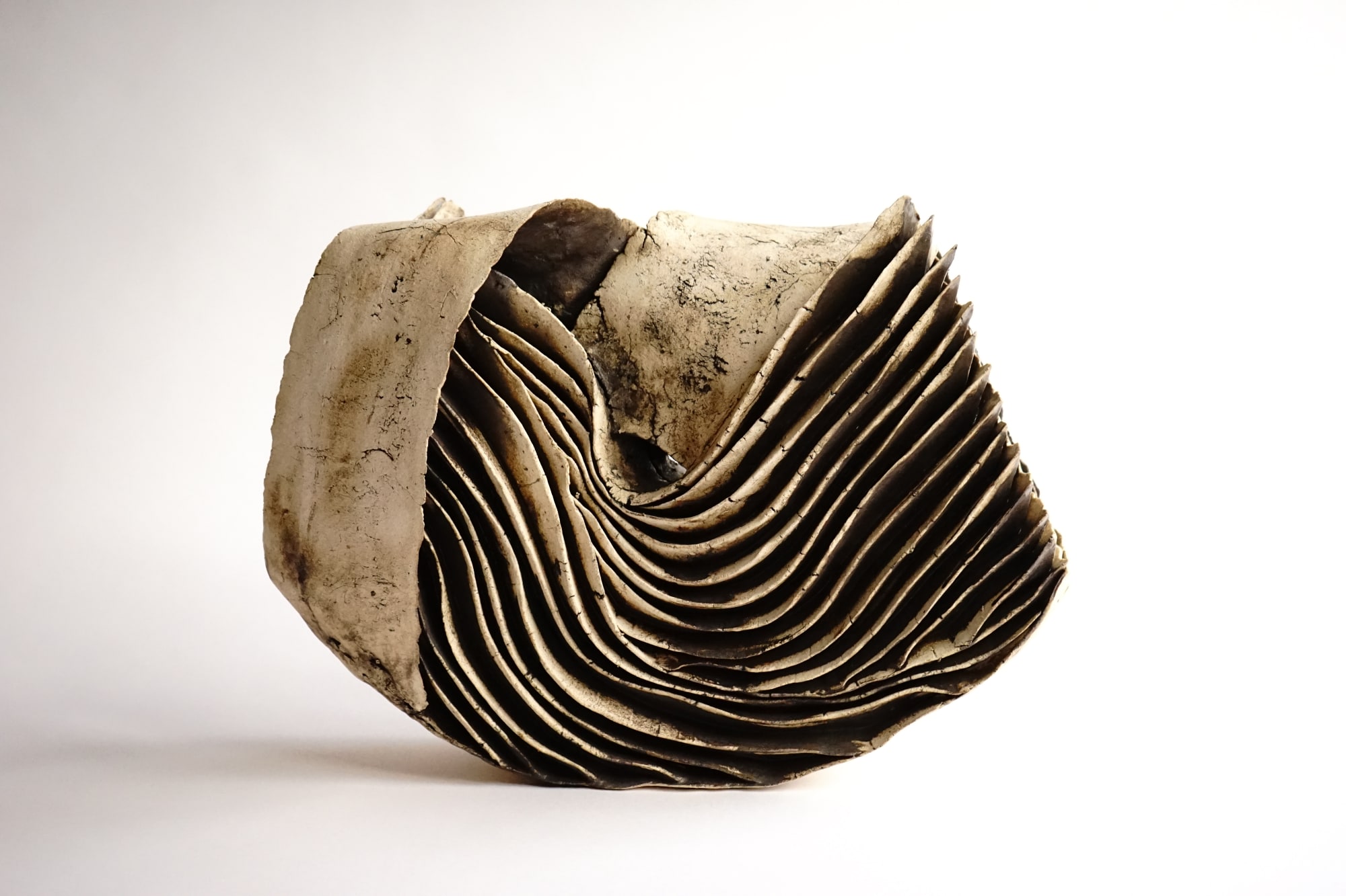 Yukiya Izumita, Sekisoh Layers, 2019