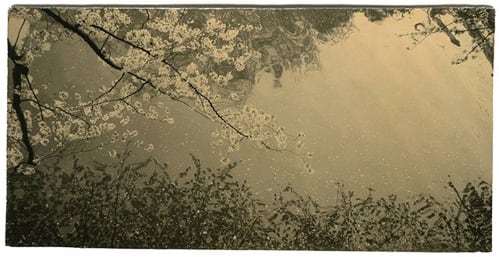 Miho Kajioka, BK0059, 2014