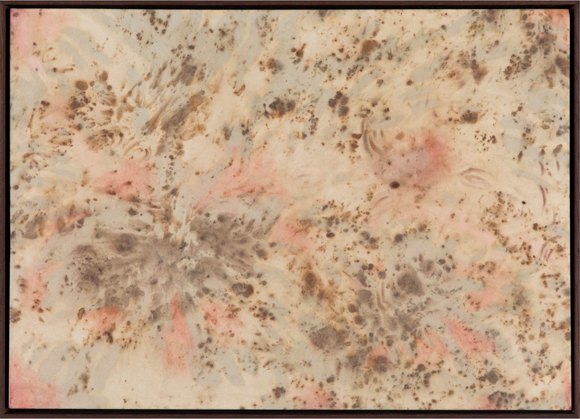 Alyazia Al Nahyan, Desert Flowers, 2024