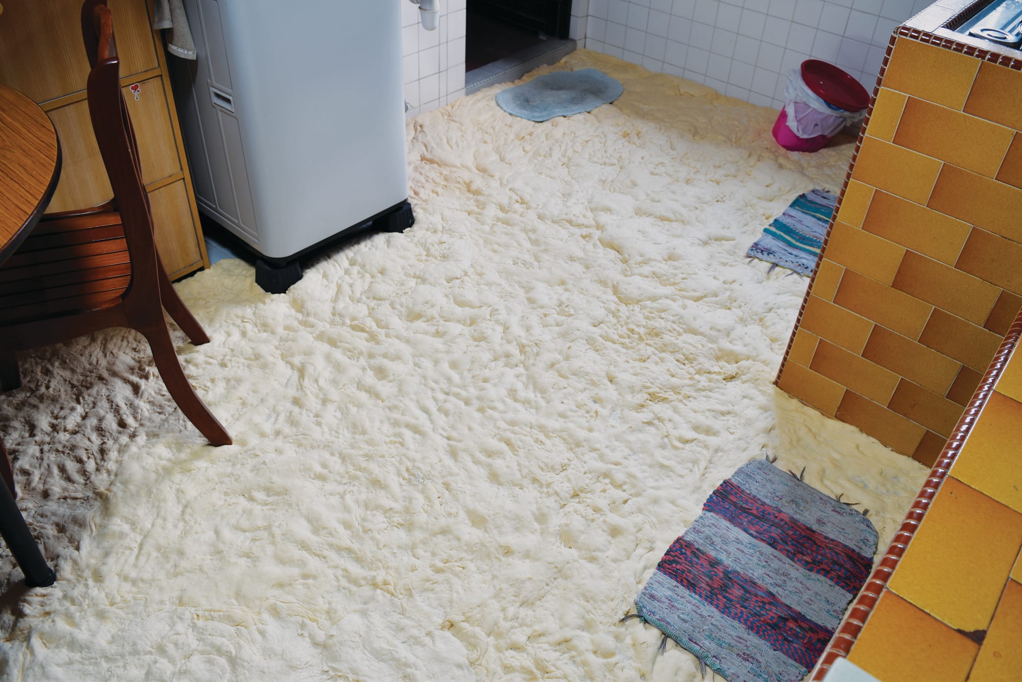 Subashri Sankarasubramanian, Qu'ils mangent de la brioche I, 2020