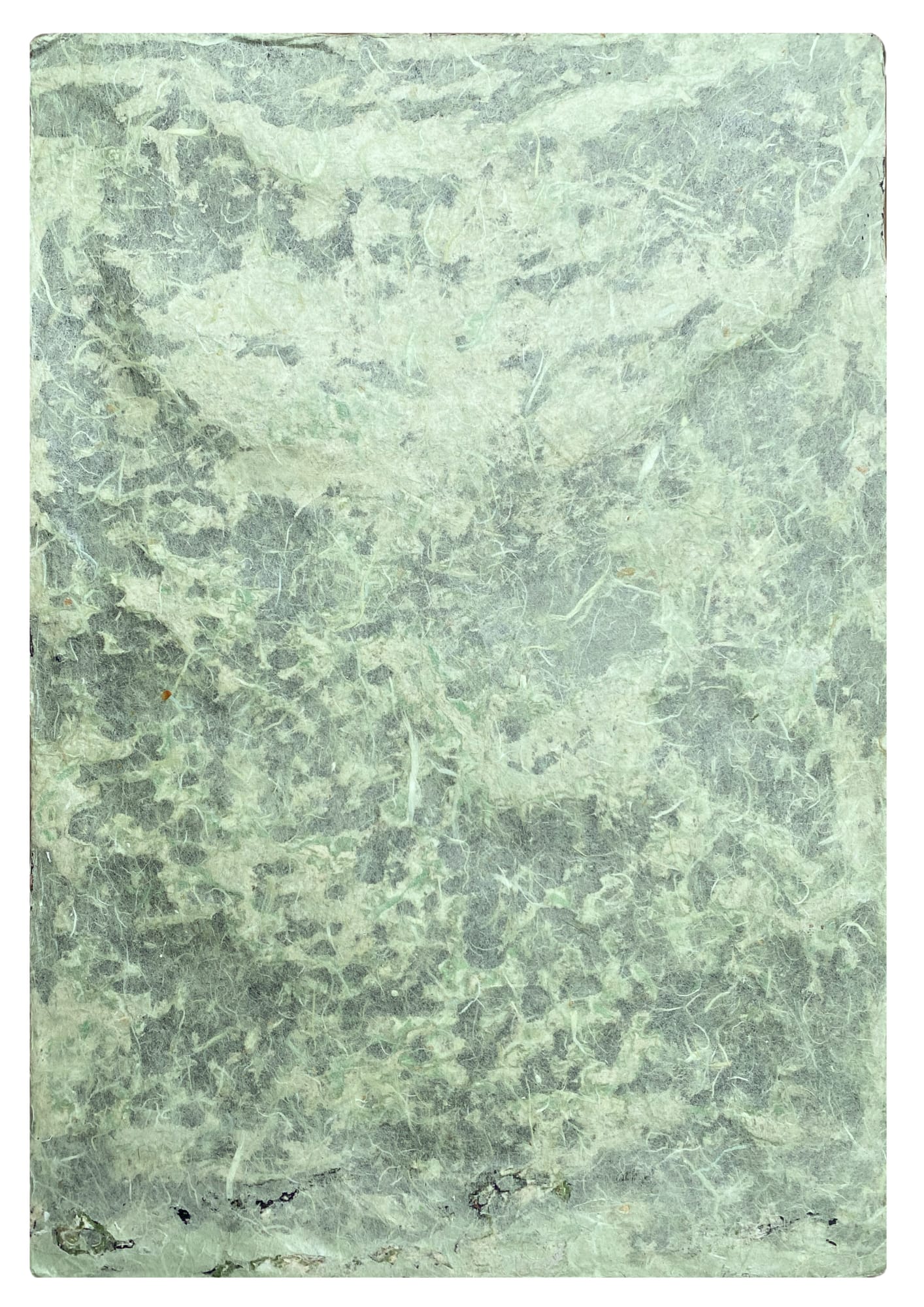 Widi Pangestu Soegiono, Mossy, 2025