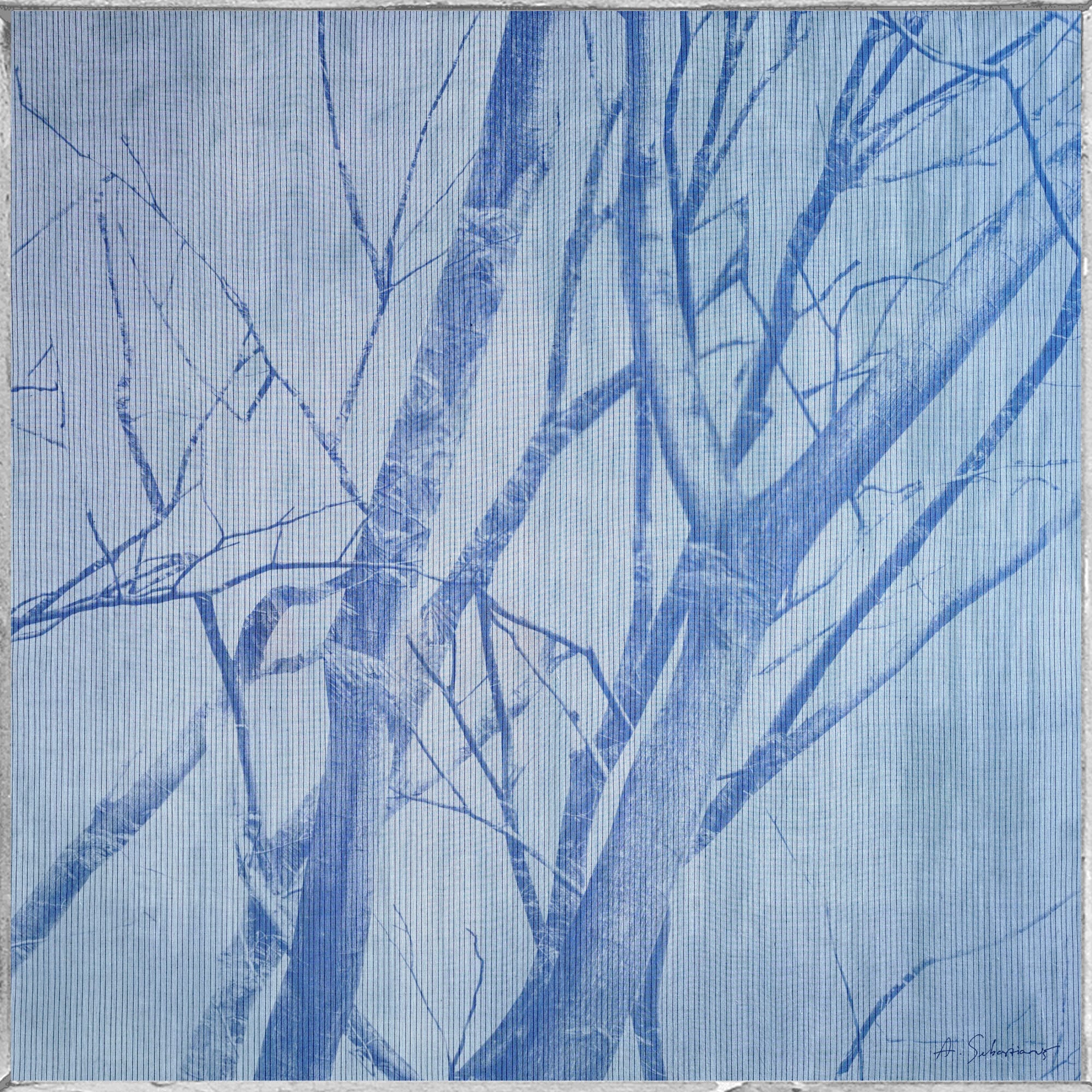 Alexander Sebastianus, Bertumbuh Tanpa Arus II, 2021