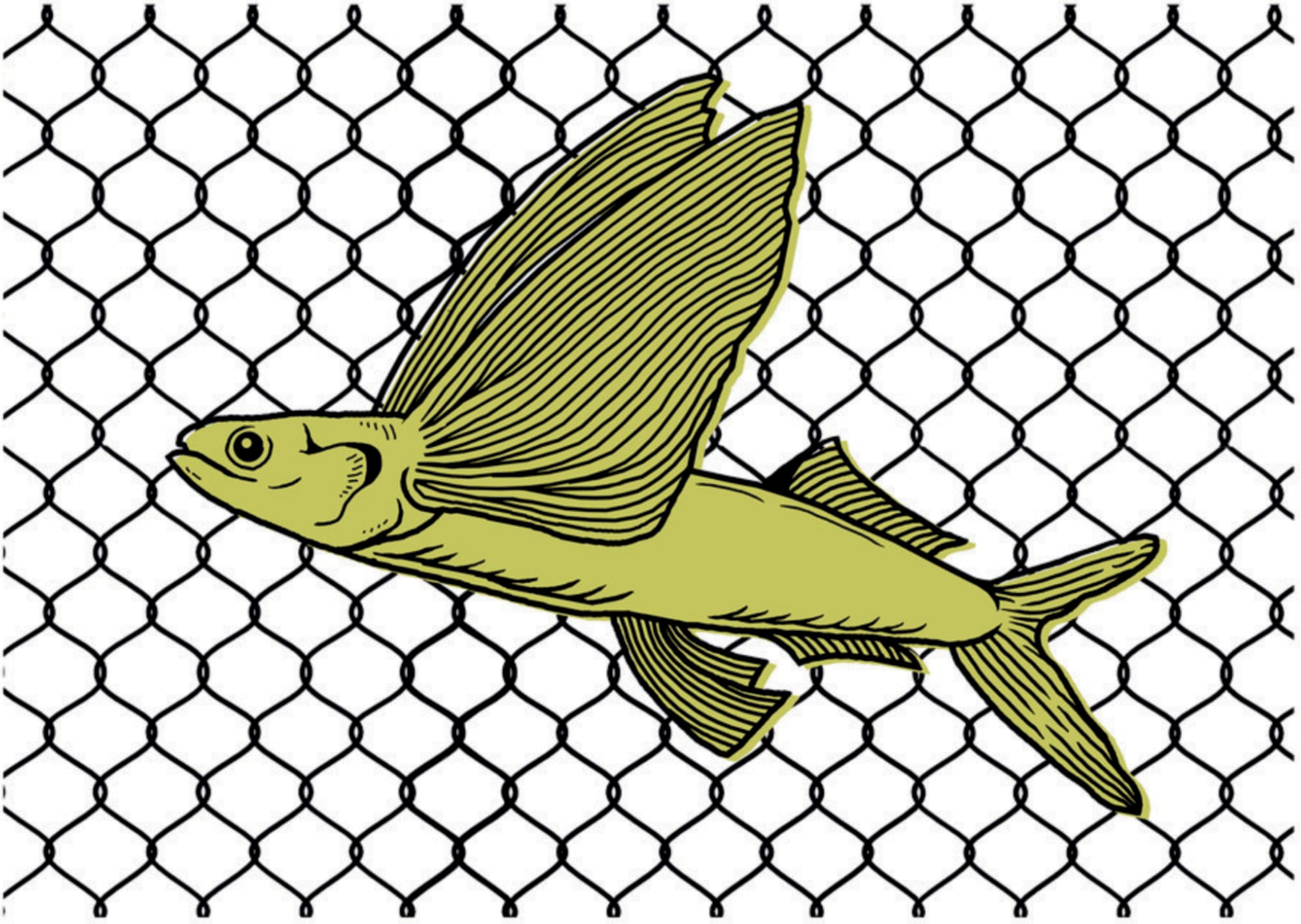 Anita Bonit Purniawati, Fly to My Room, 2022