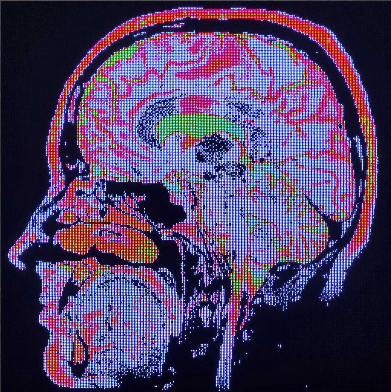 Bandu Darmawan, Pseudocolor Serenade , 2024