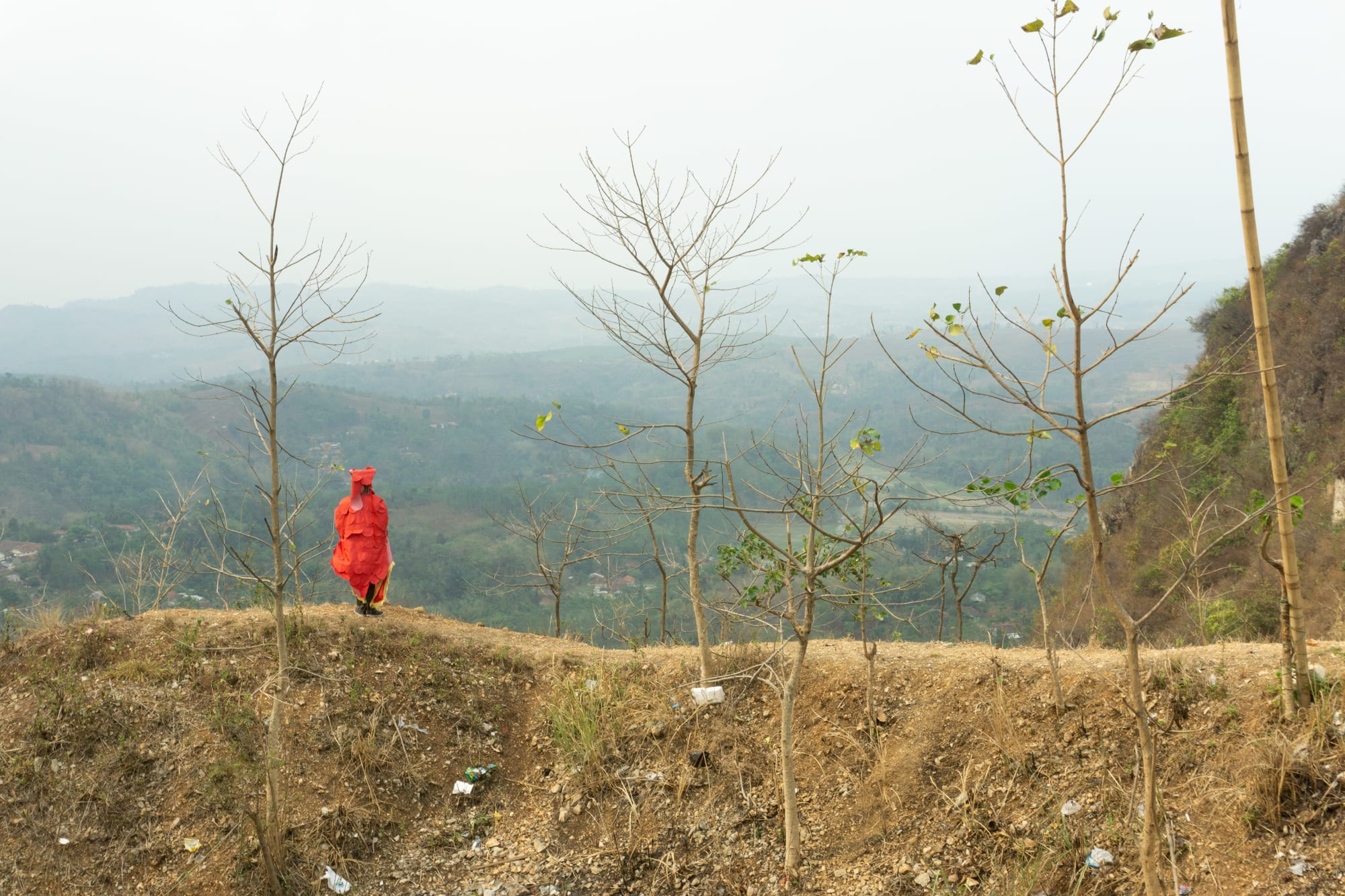 Agung Eko Sutrisno, A Tiger Who Stares at The Sunset IV, 2019