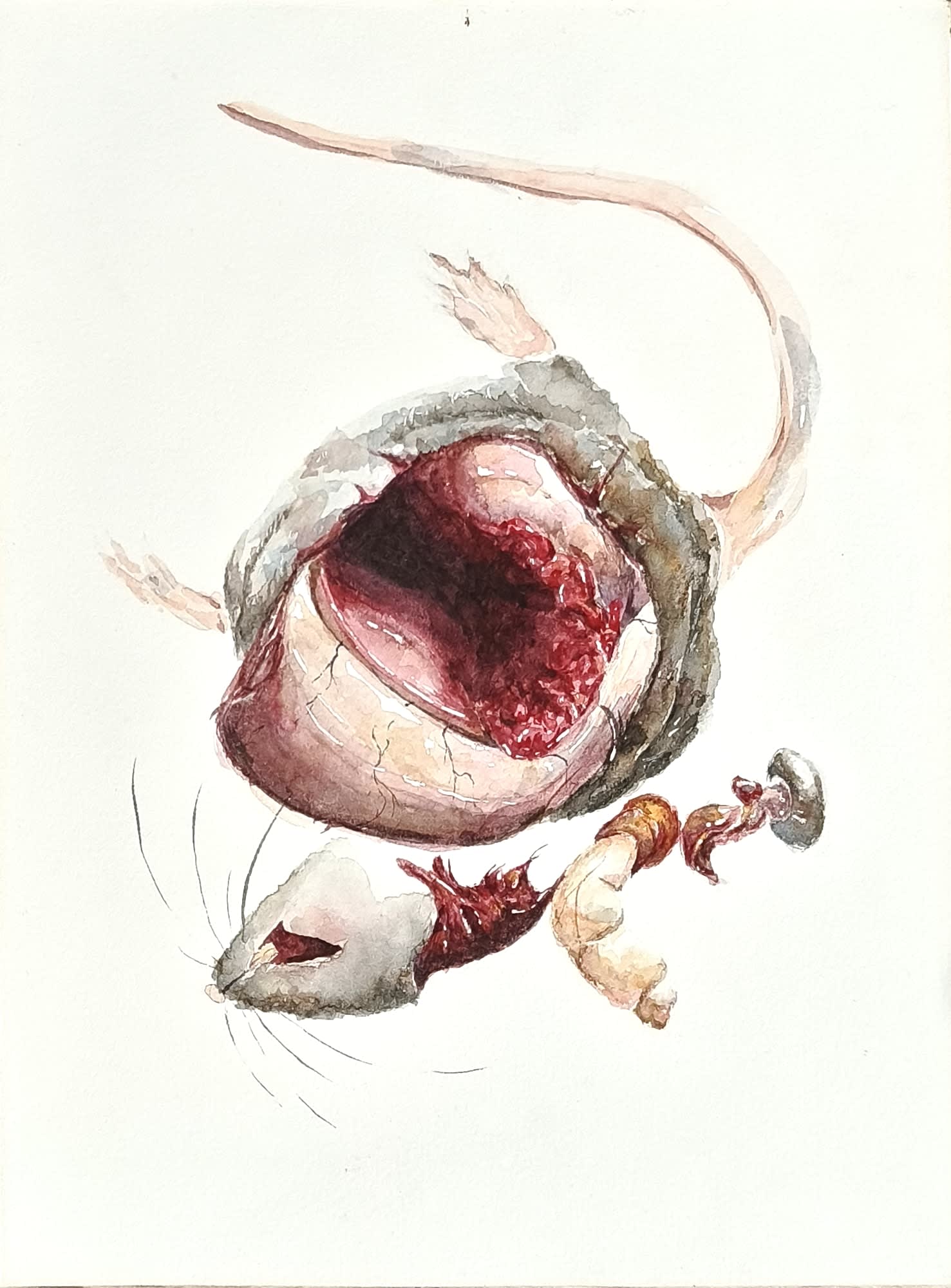 Keenan Tham, Rat Race 6, 2023