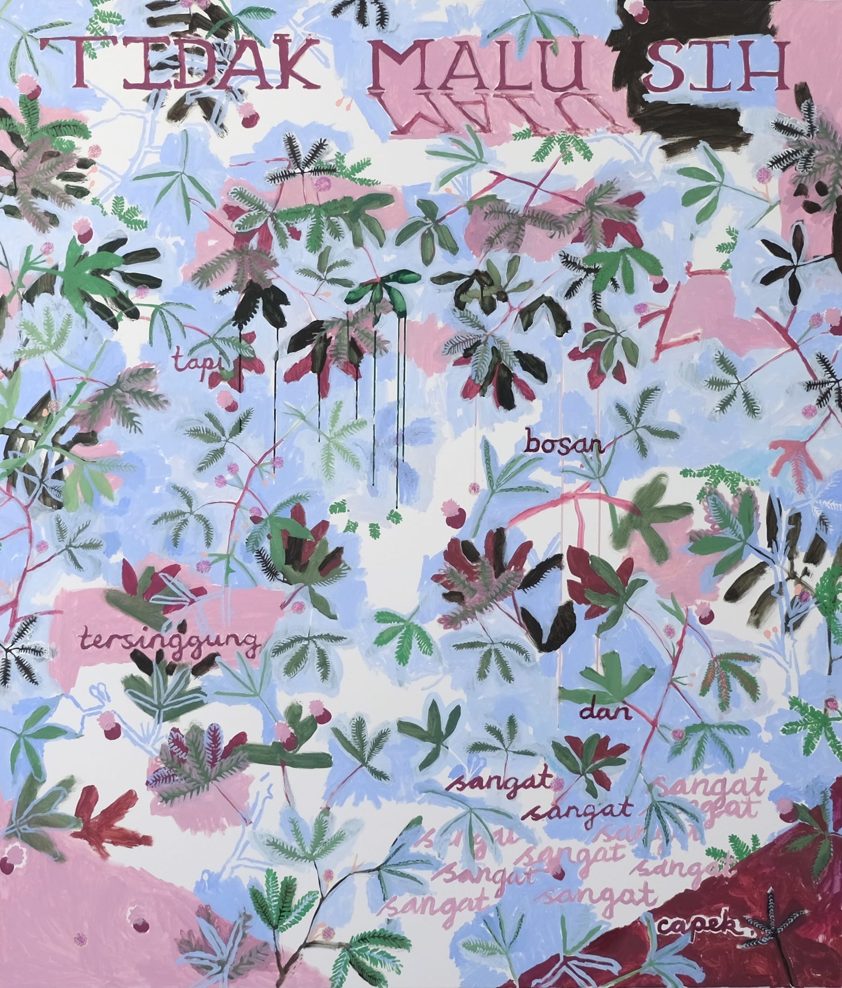 Ida Lawrence, Mimosa pudica (un-botanical illustration), 2022