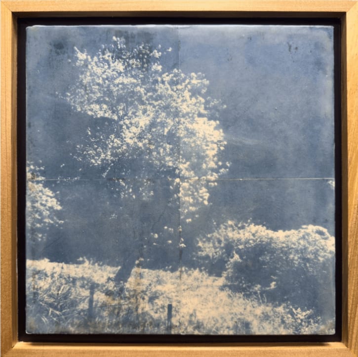 Eunice Sanchez, Chances I, 2022