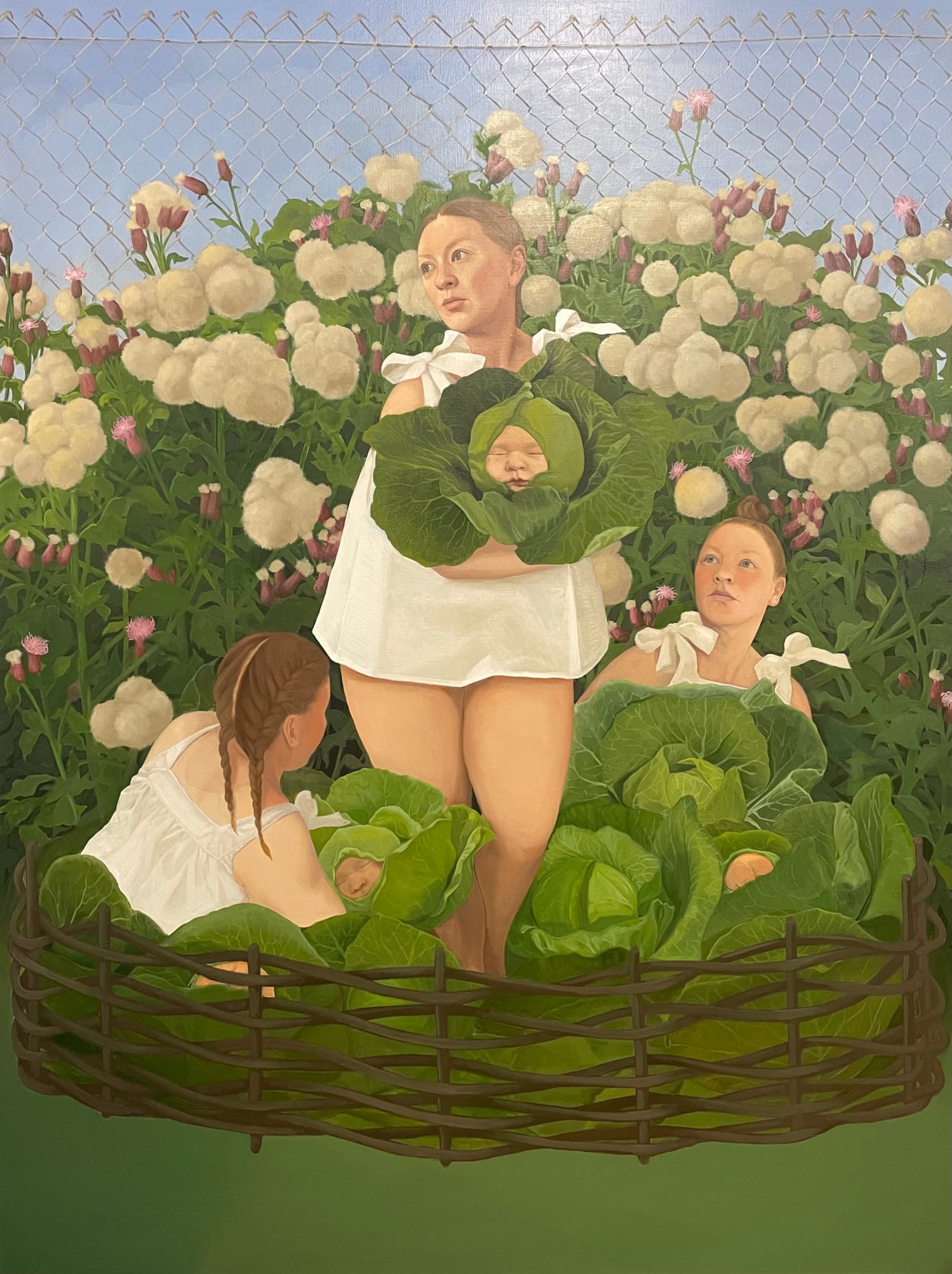 Vanessa Jones, Cabbages, 2023