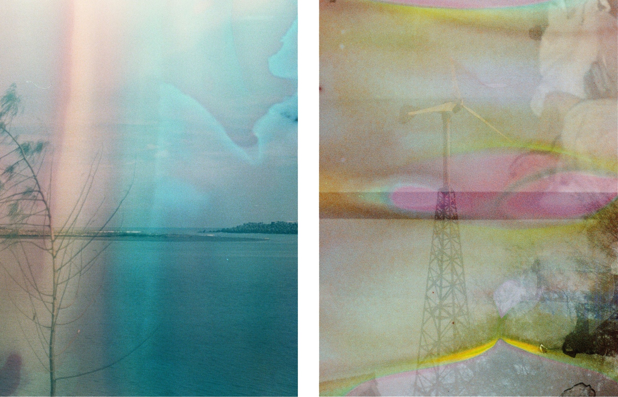 Reza kutjh, In Full Bloom (1 edition), 2021