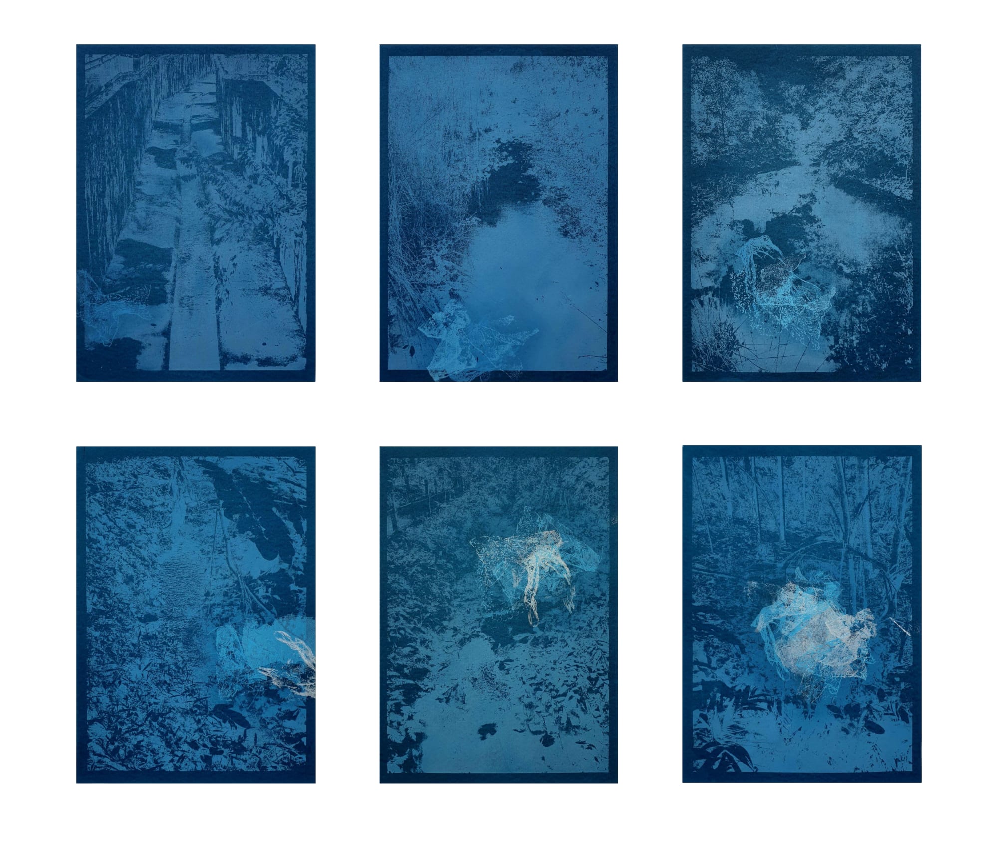 Nathan Tan, Irreversible Invasion (Blue Imprints), 2022