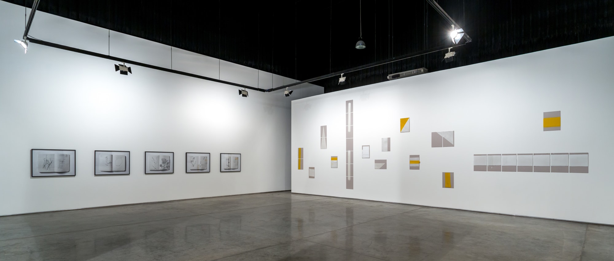 Vikram Divecha, Minor Work, 2017