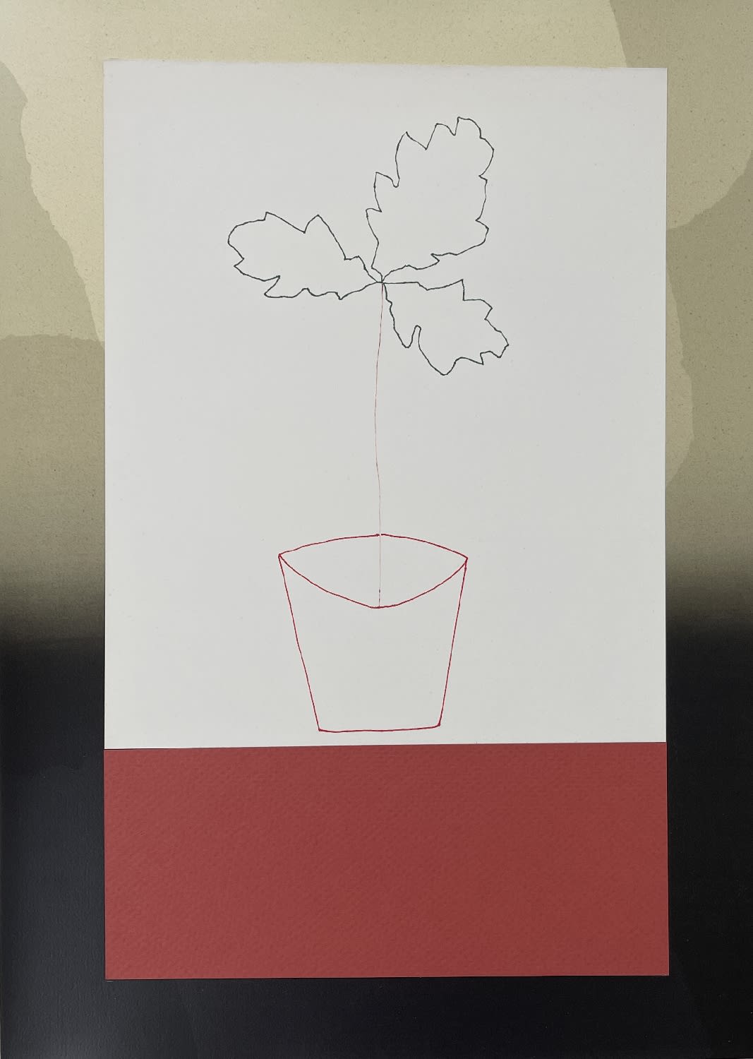 Derrick Greaves, Oak Seedling II, 2020