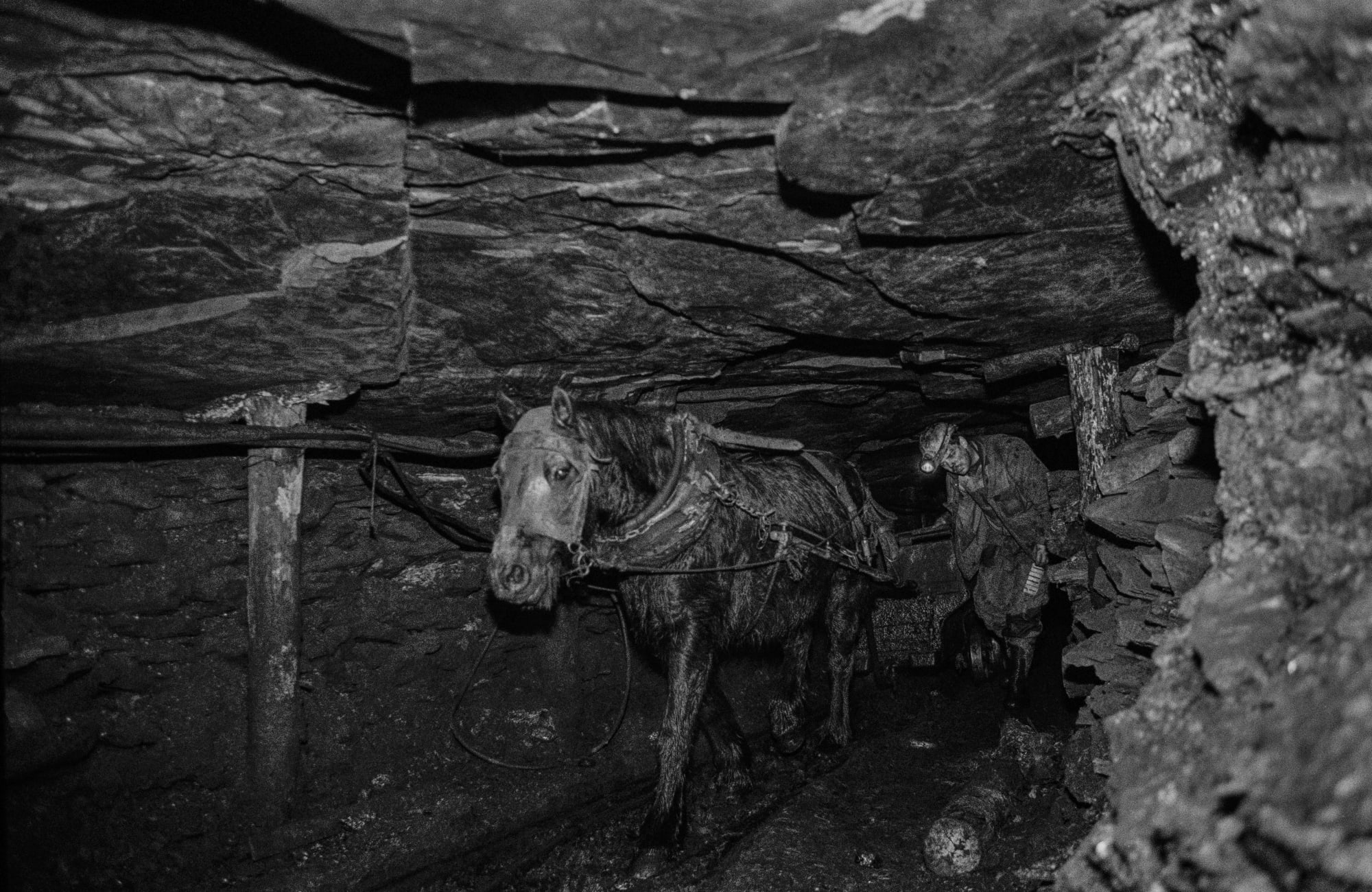 David Hurn, Pentwyn Colliery