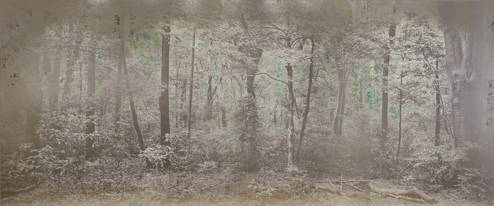 Masayoshi Nojo, Mirage#48, 2019