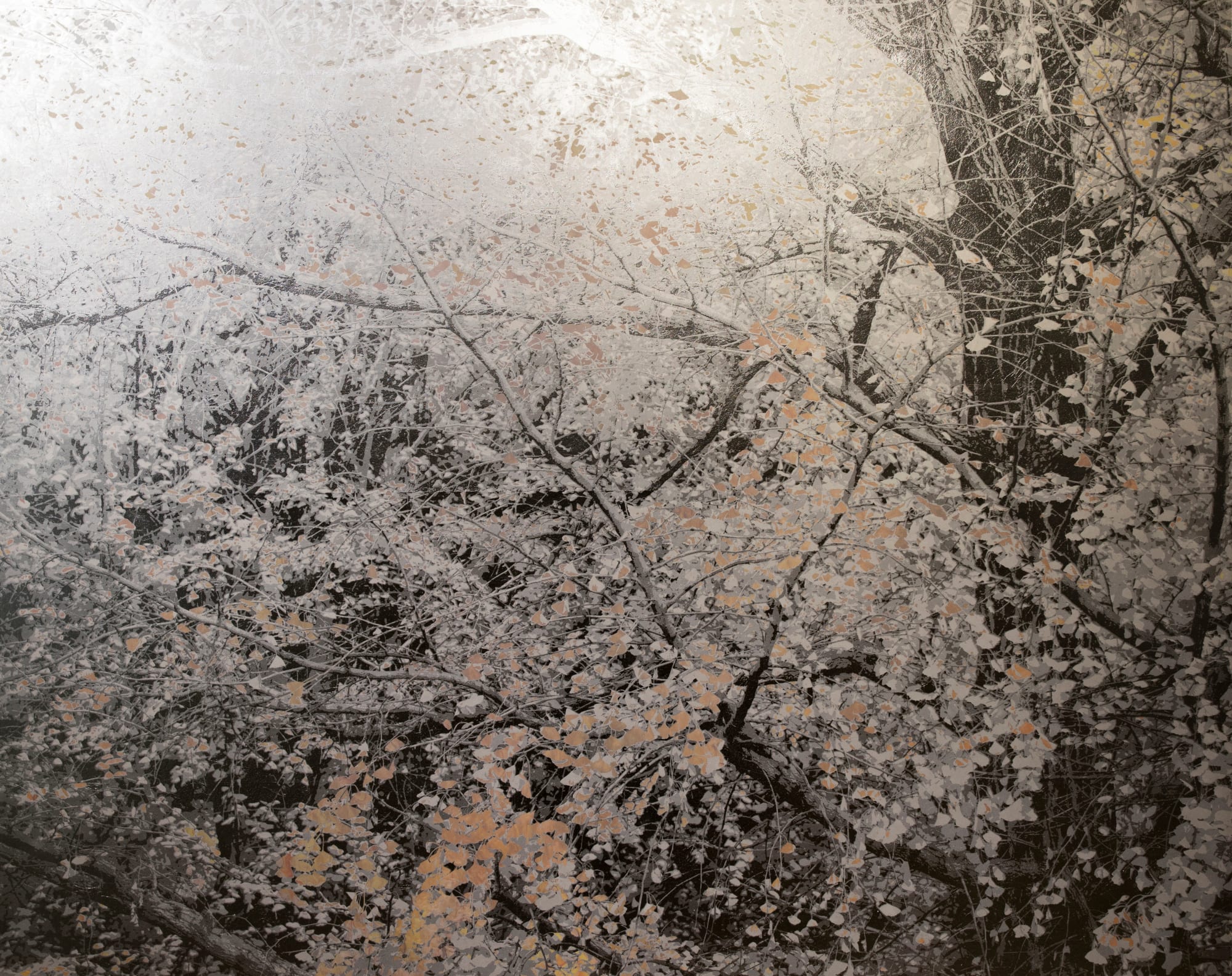 Masayoshi Nojo, Mirage#43, 2019