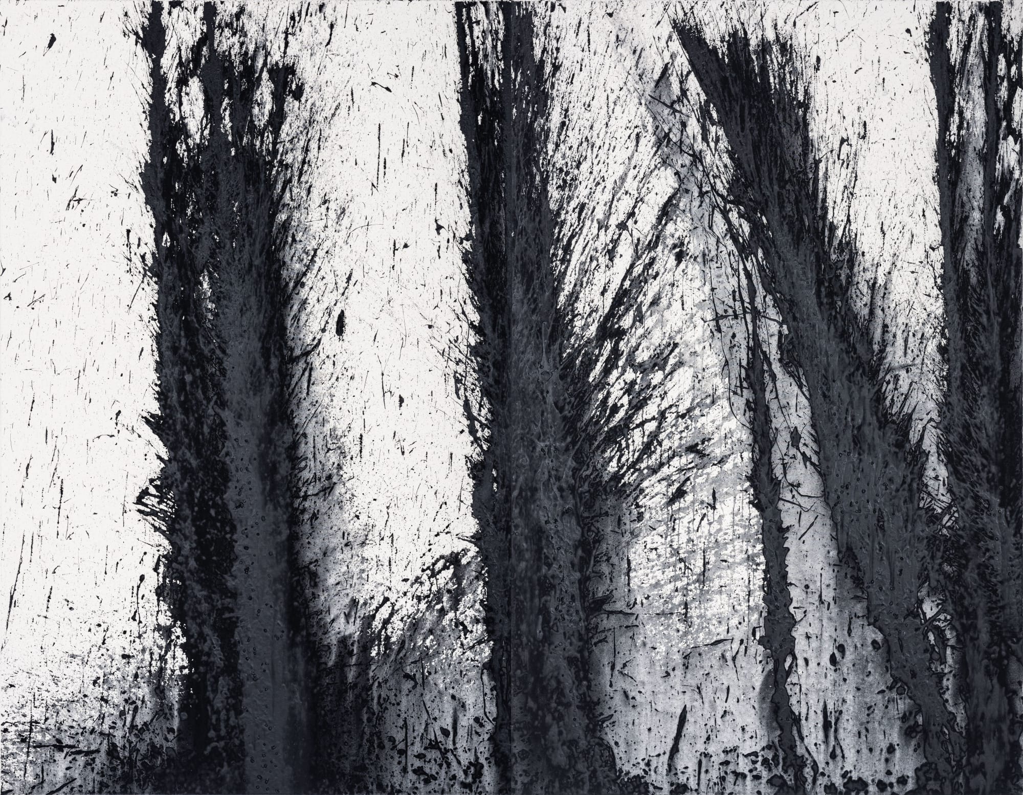 Santiago Parra, Untitled, 2023