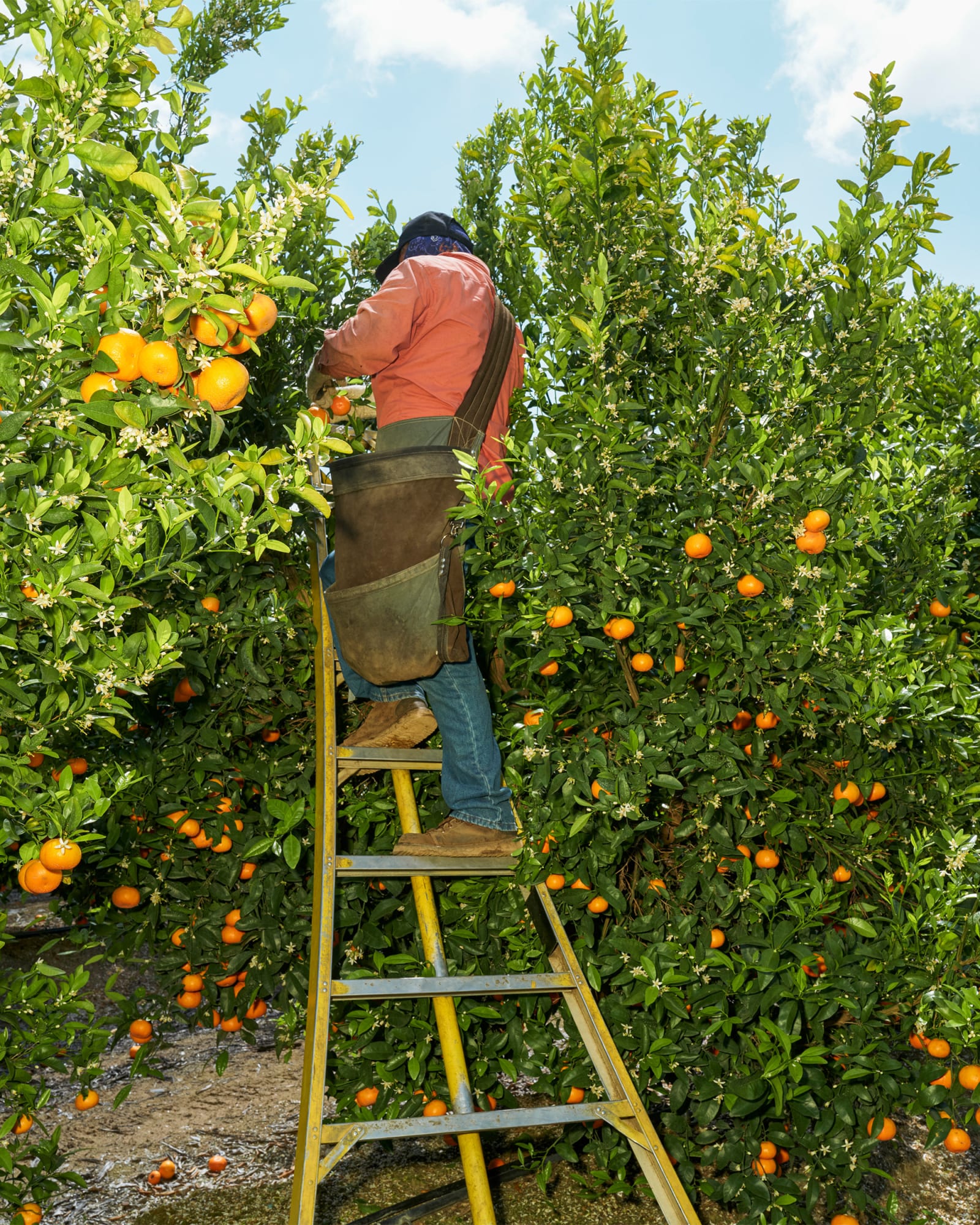 Wesaam Al-Badry, Migrant Workers #XII, 2020