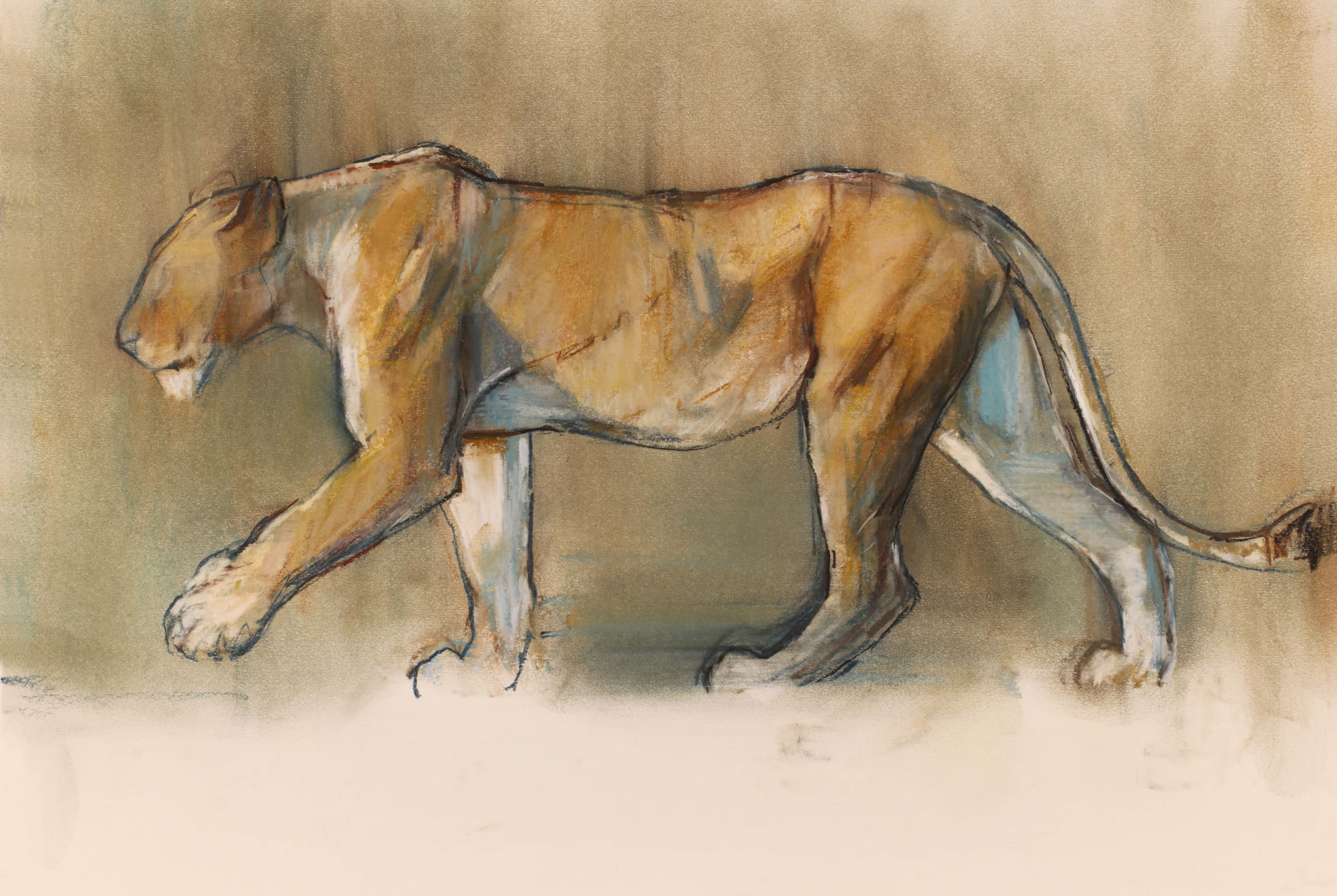 Mark Adlington, Lioness Profile II