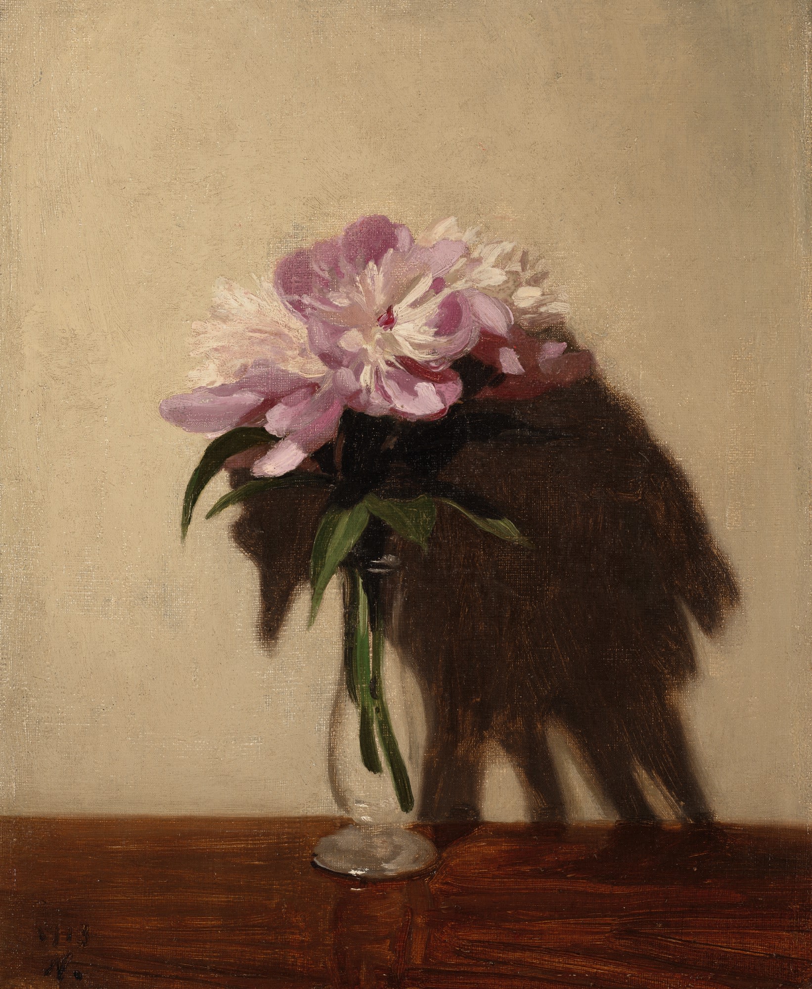 William Nicholson, Pink Peonies, 1913
