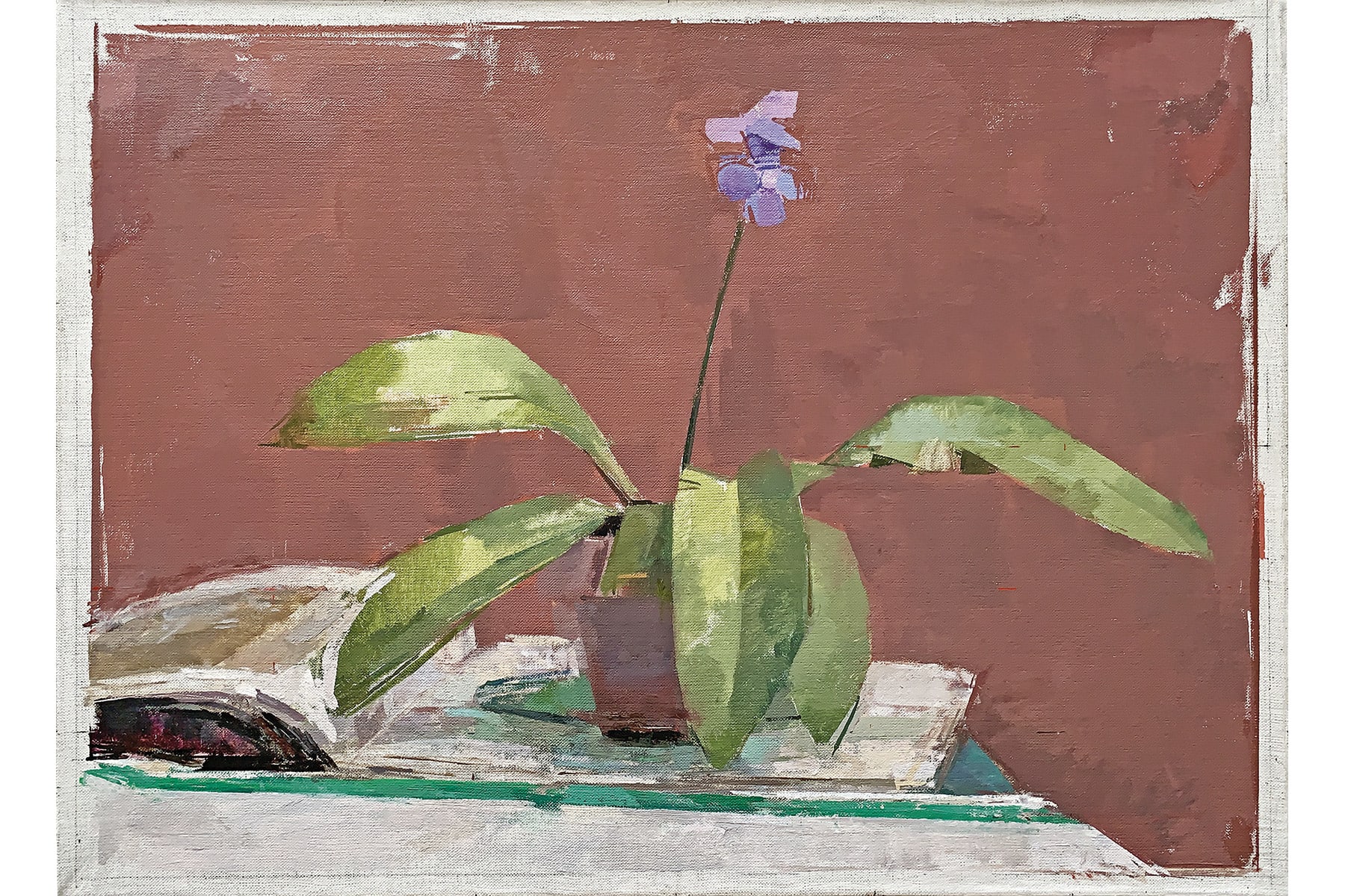 Ben Henriques, Streptocarpus, 2021