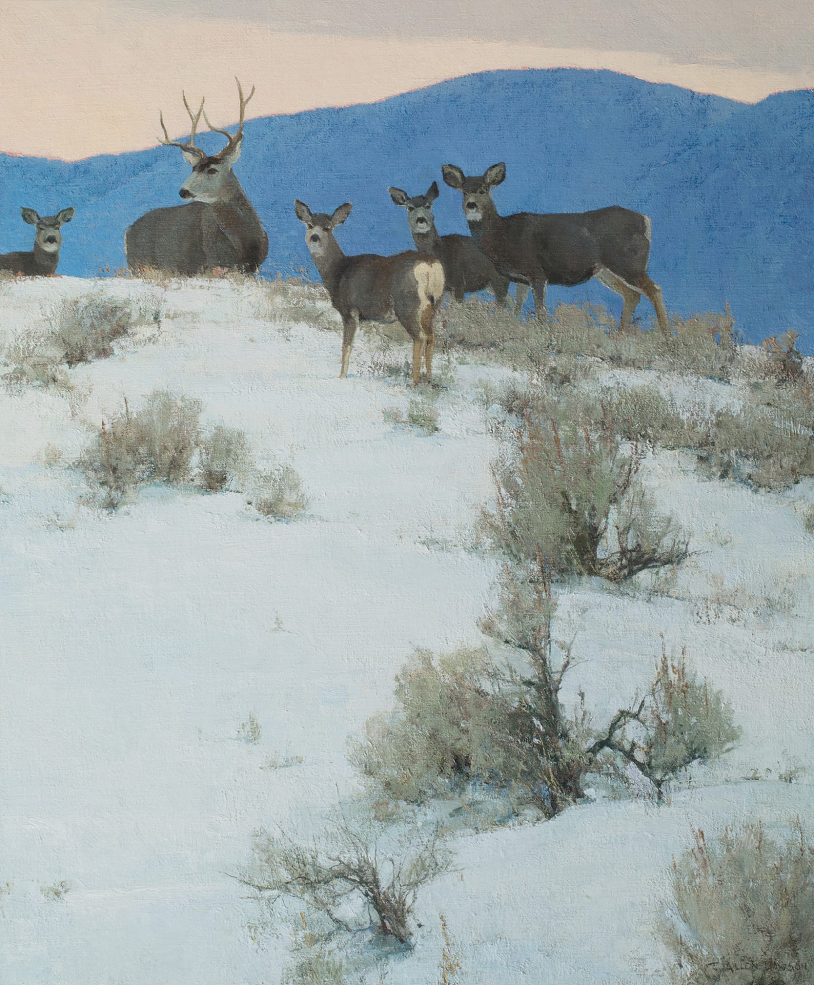 T. Allen Lawson, Vigilance