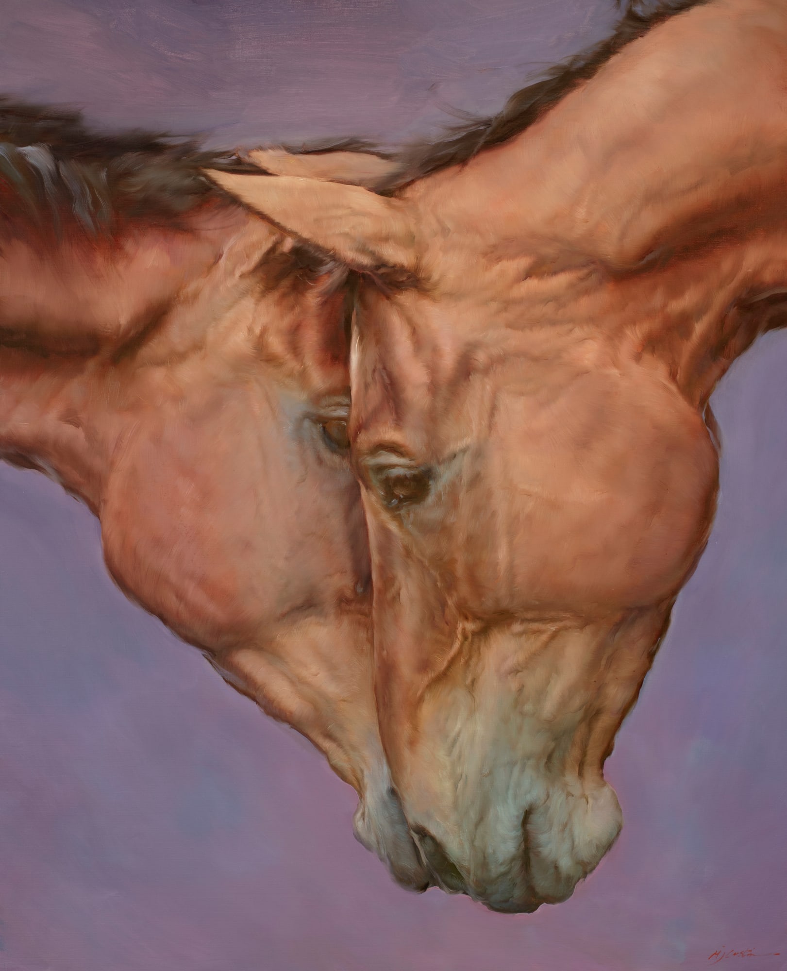 Michael J Austin, Close Comfort, 2023