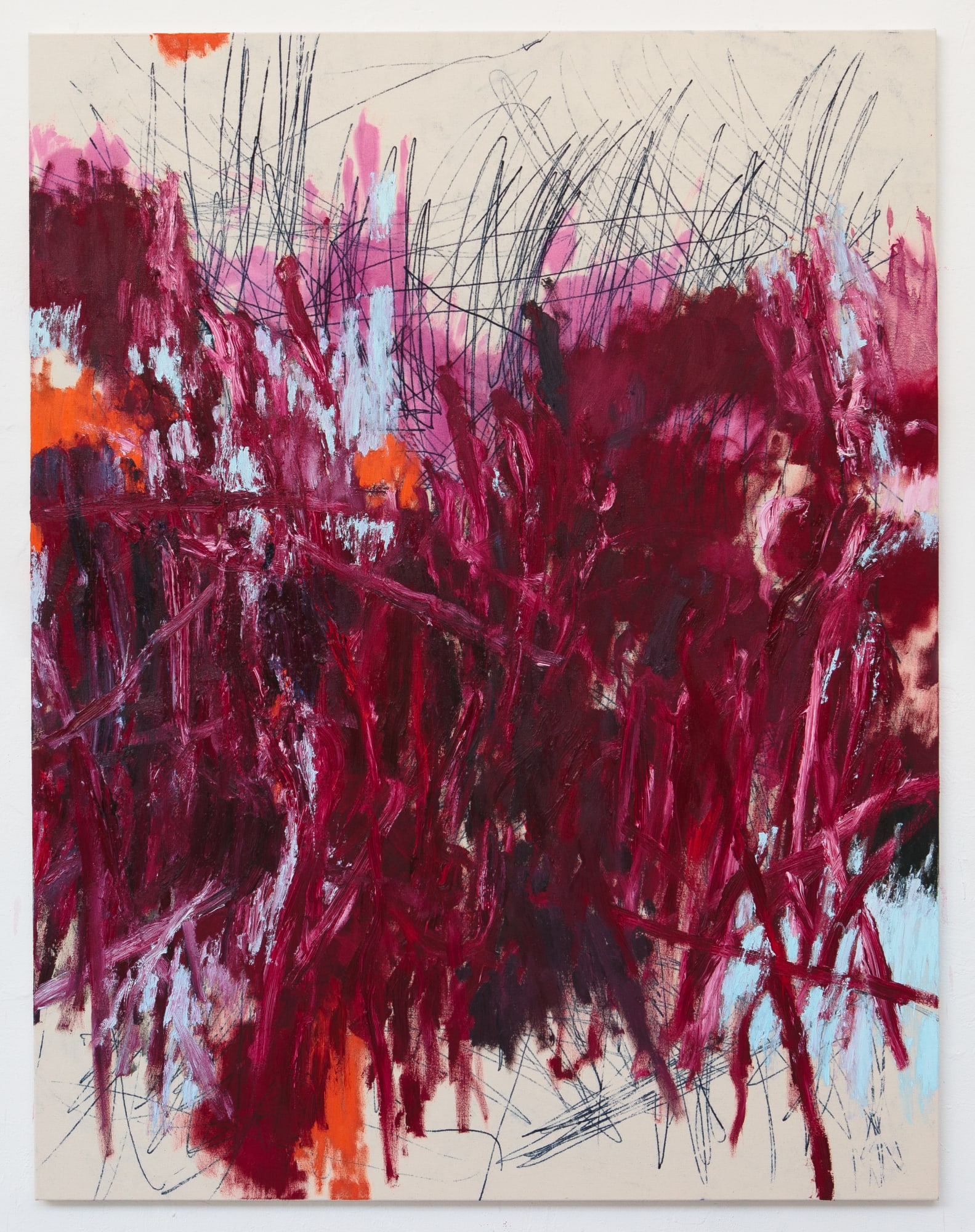 Lotte Wieringa, Cherry Lush, 2024