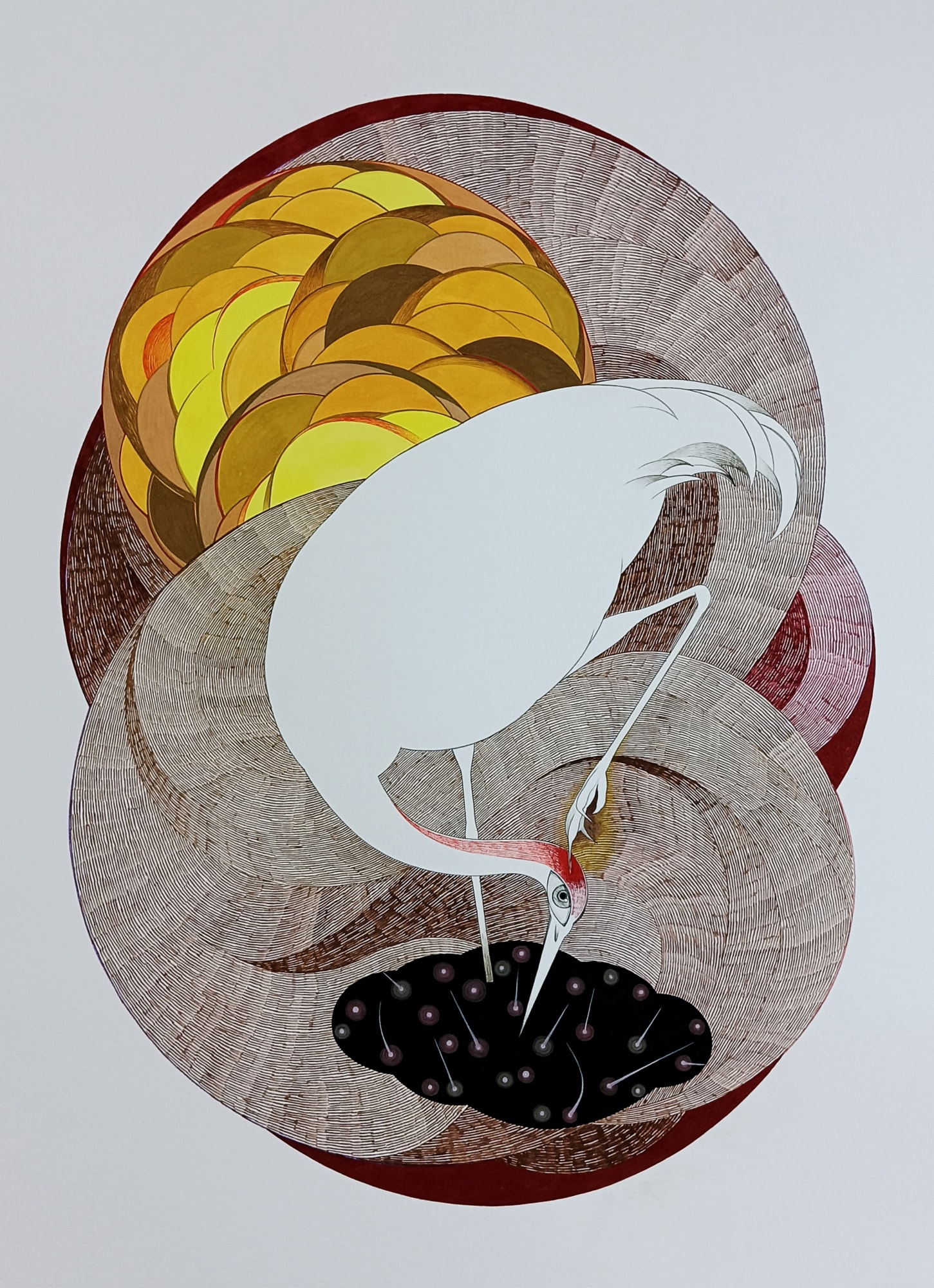 Rajnish Chhanesh, My Life My World 1