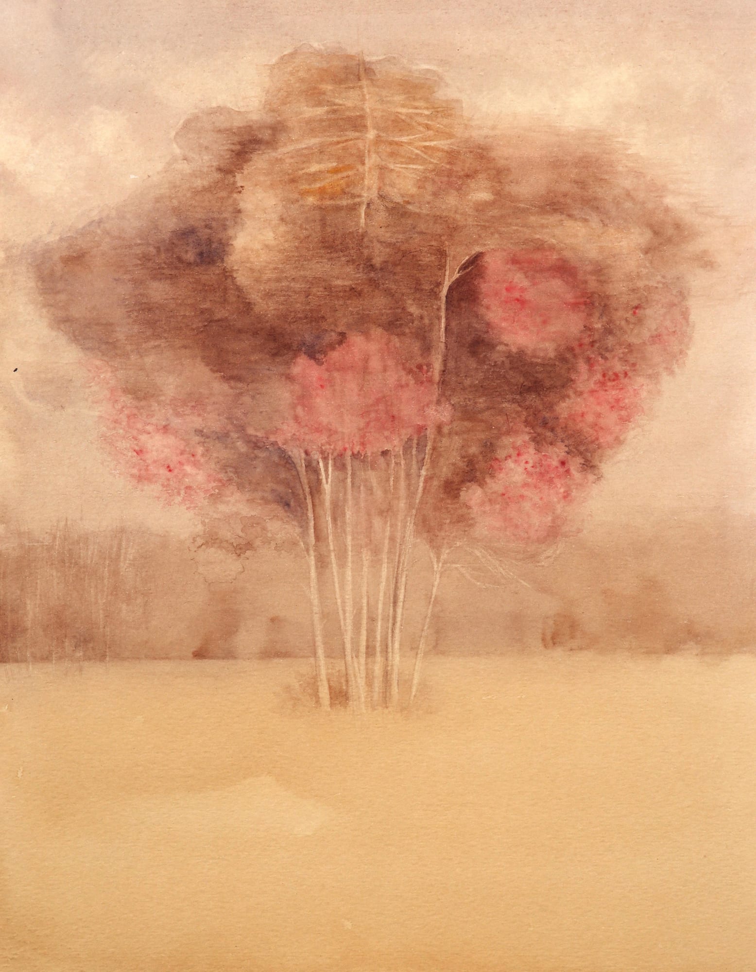 Anupama Alias Anil, Infinite Realities, 2024