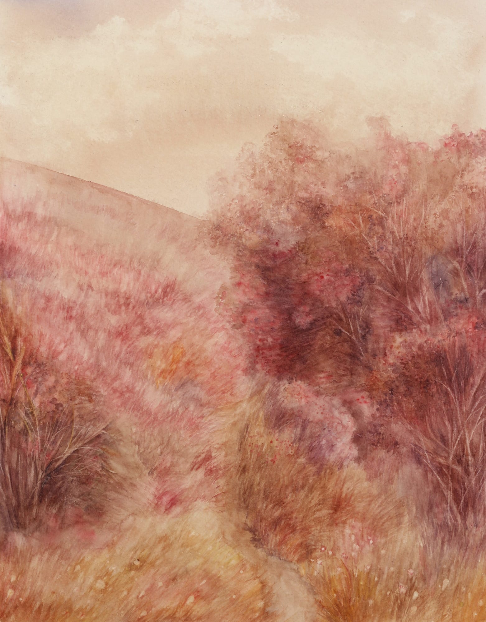 Anupama Alias Anil, Infinite Realities, 2024