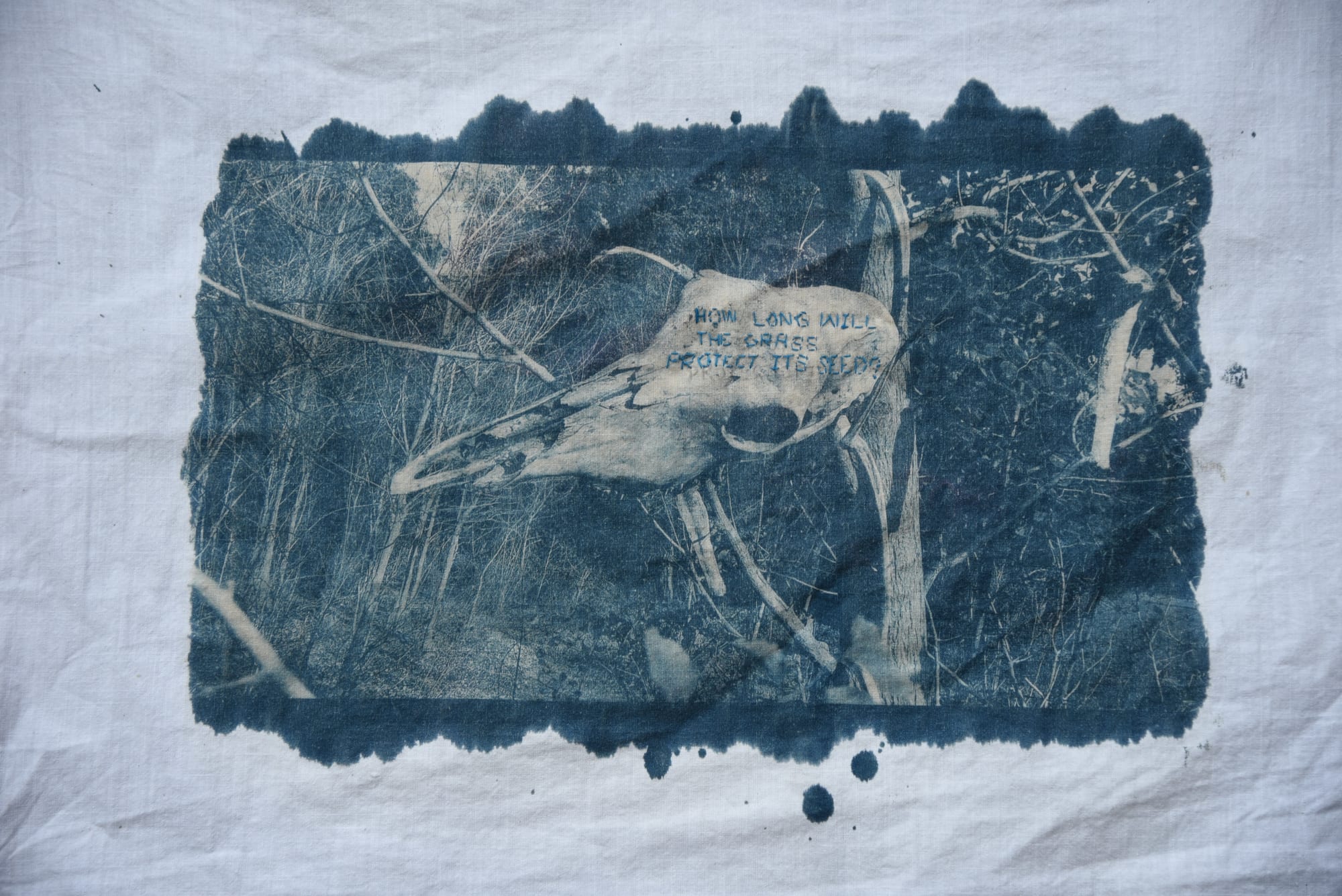 Umesh Singh, How long will the grass protect its seed?, 2019