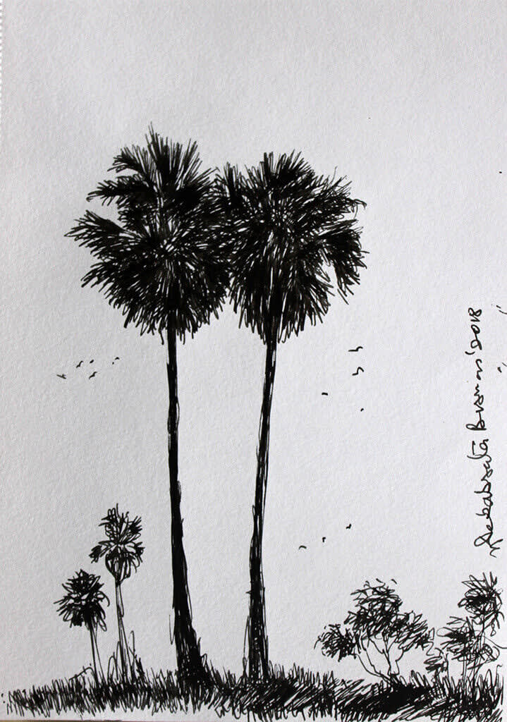 Debabrata Biswas, Birbhum VIII