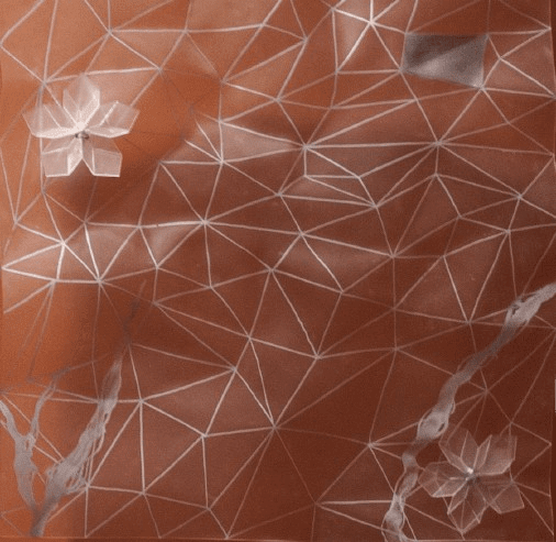 Ankon Mitra, Uttarakhand 15