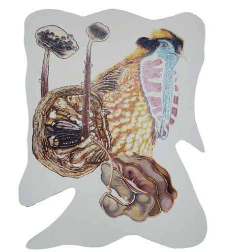 Satadru Sovan Banduri, Whispers left Behind-I, 2024