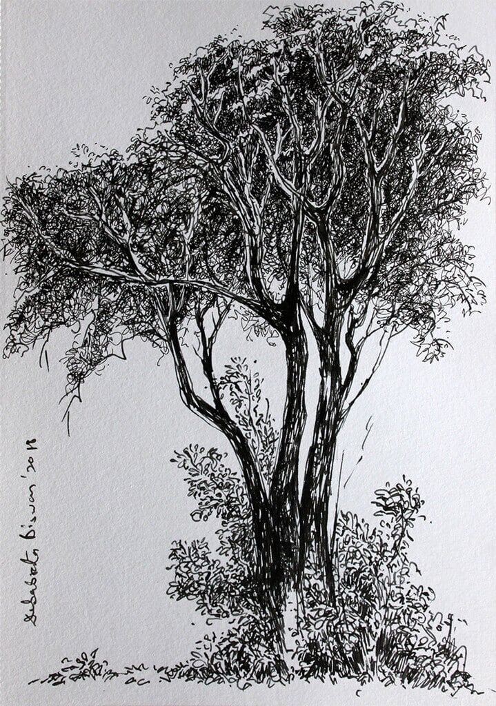 Debabrata Biswas, Birbhum I