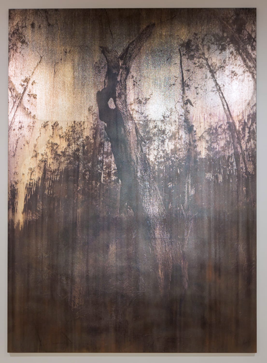 Michael Joo, Entasis (bark), 2016