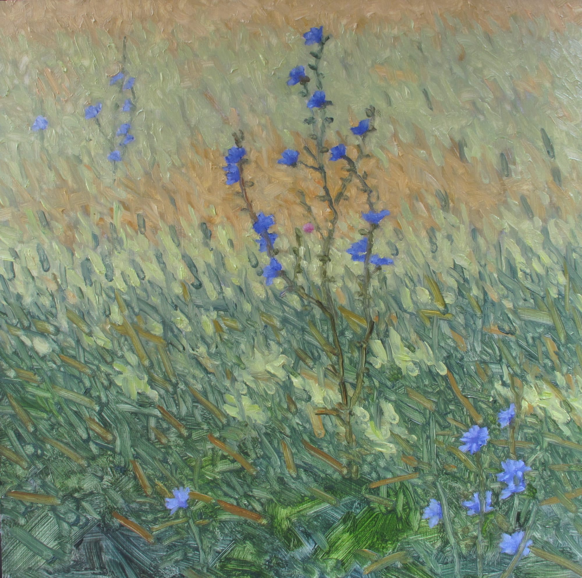 Thomas Sarrantonio, Cue, 2018